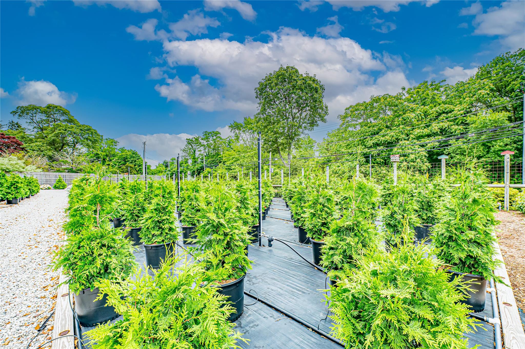 185-191 N Country Road, Mount Sinai, NY 11766