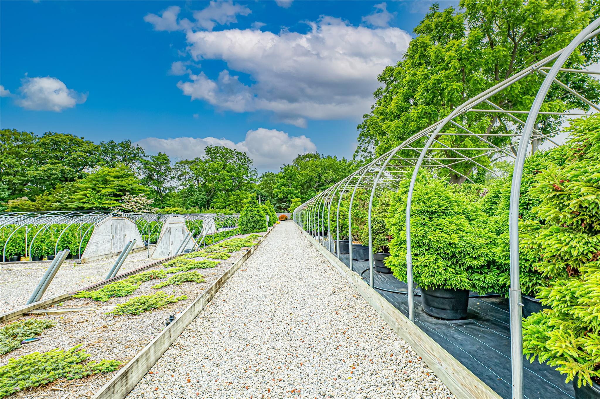 185-191 N Country Road, Mount Sinai, NY 11766