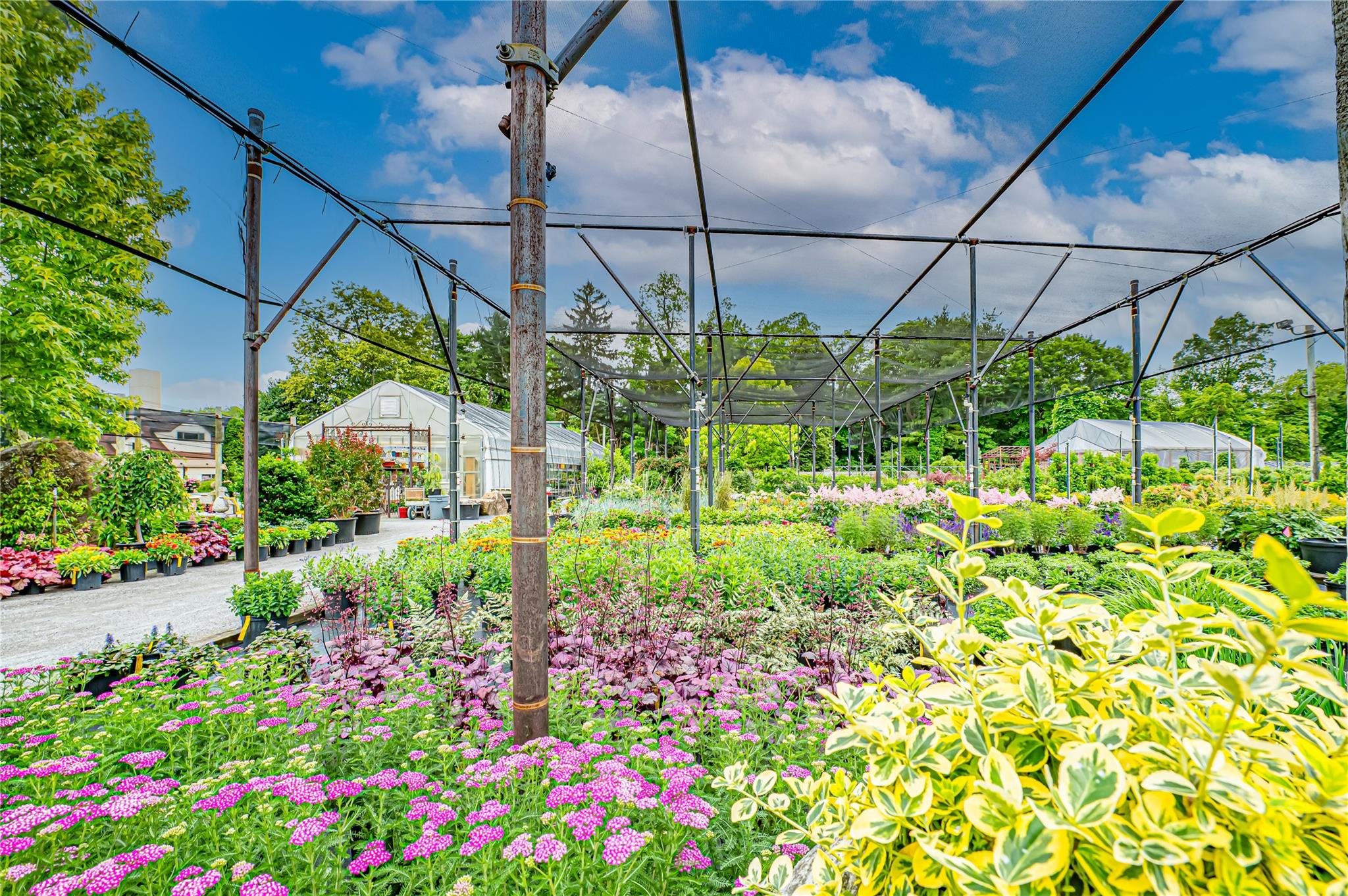 185-191 N Country Road, Mount Sinai, NY 11766