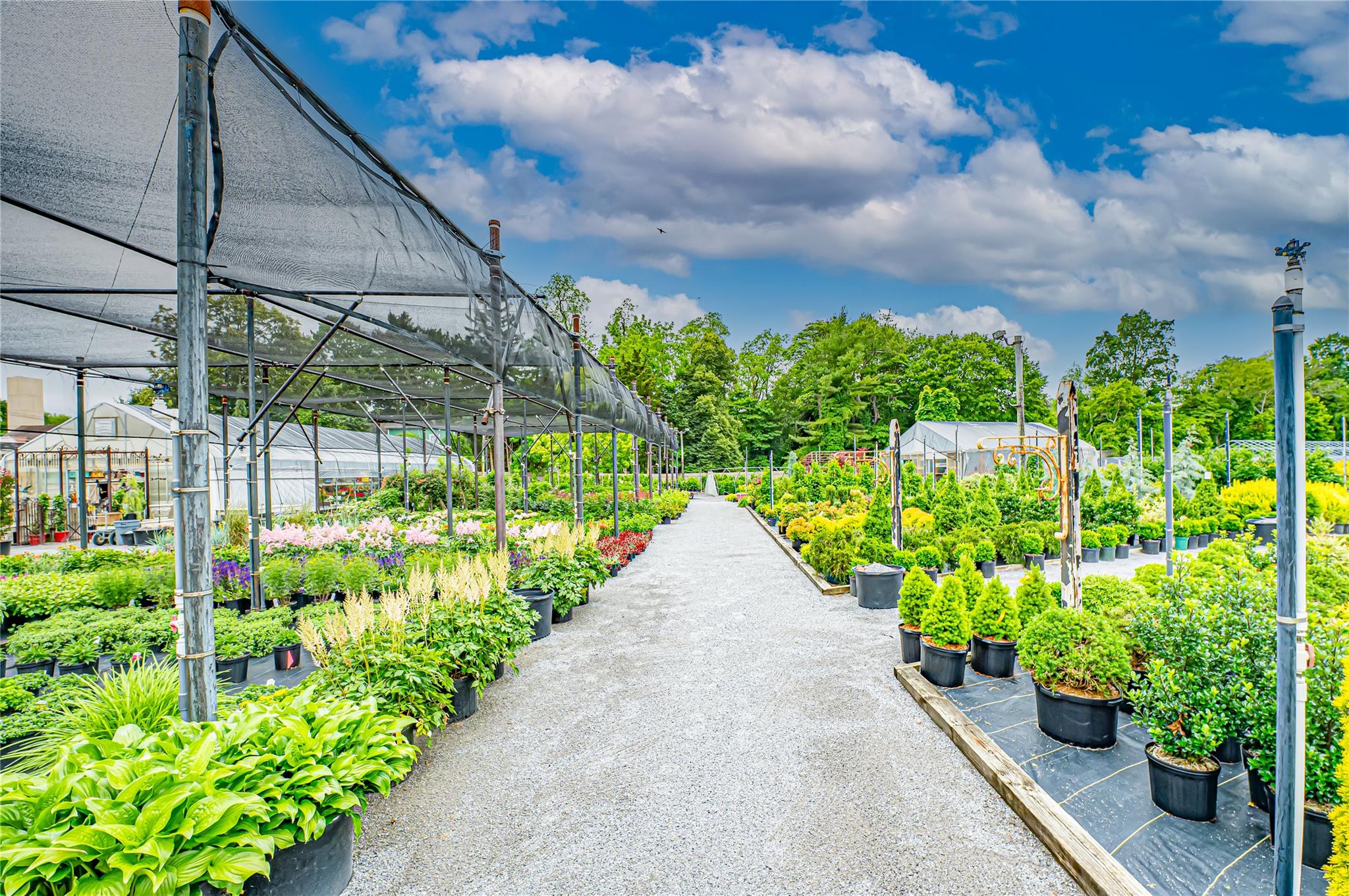 185-191 N Country Road, Mount Sinai, NY 11766