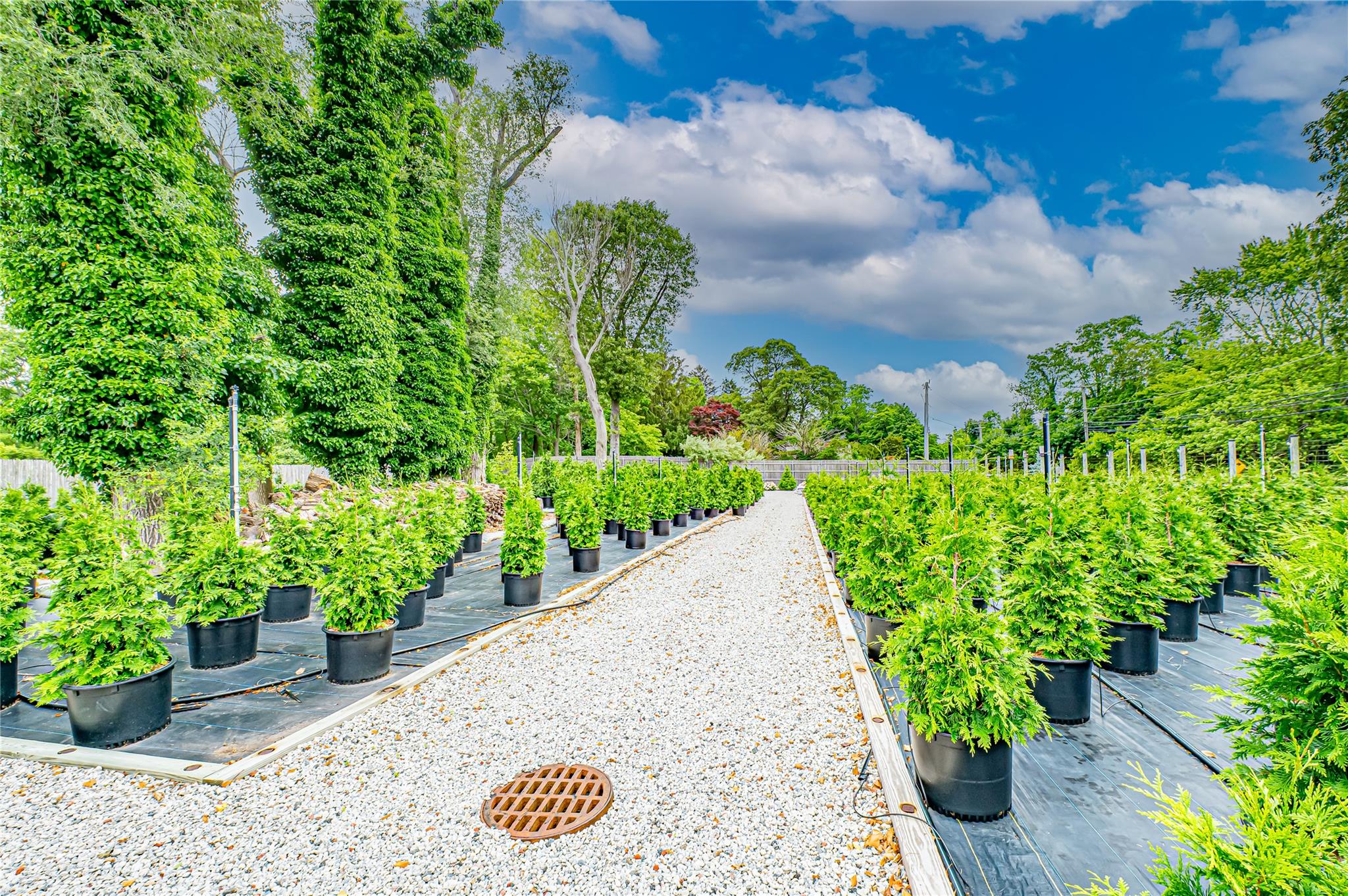 185-191 N Country Road, Mount Sinai, NY 11766