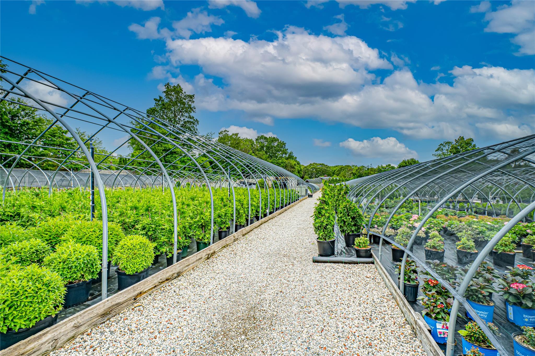 185-191 N Country Road, Mount Sinai, NY 11766