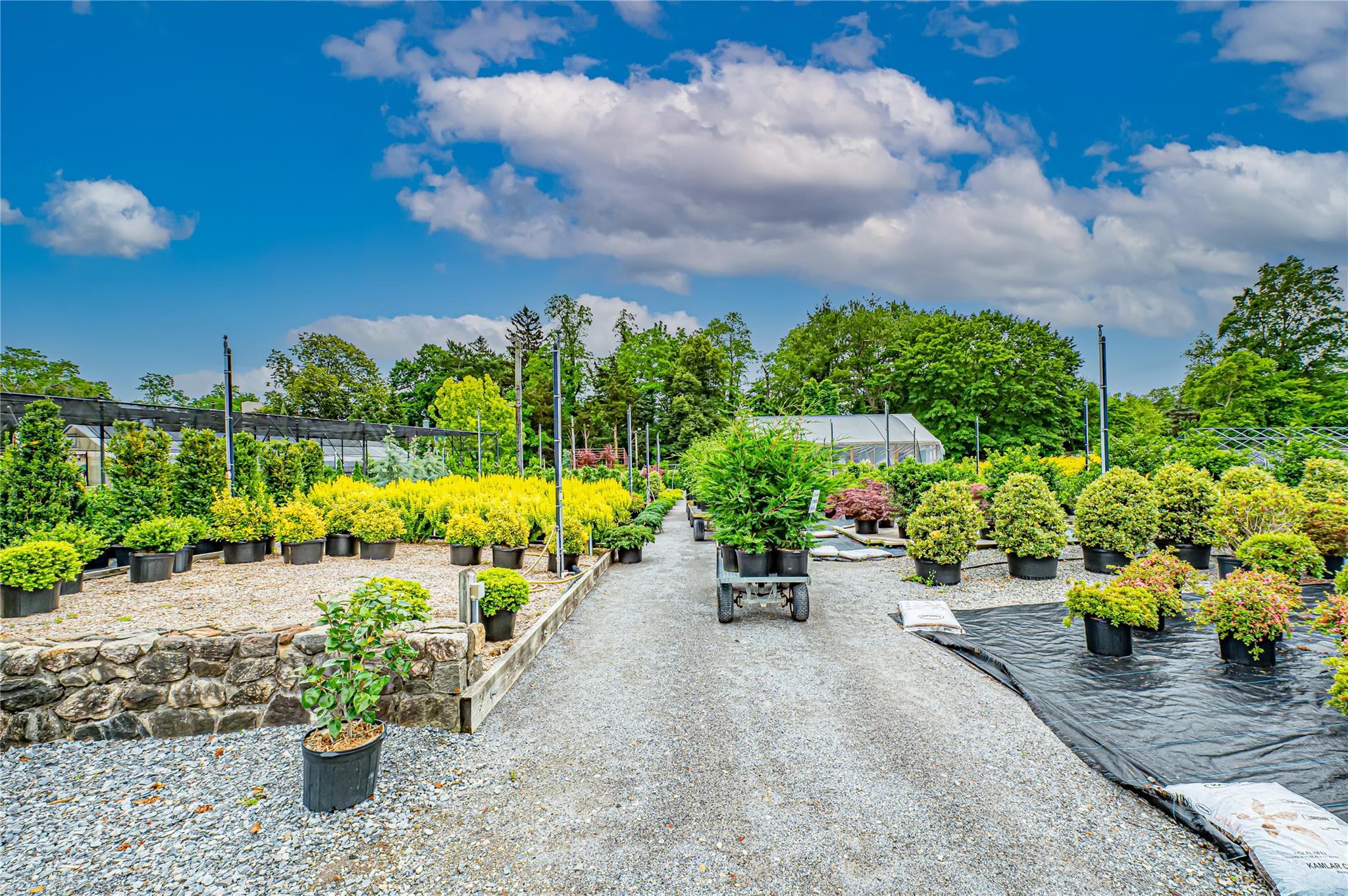 185-191 N Country Road, Mount Sinai, NY 11766