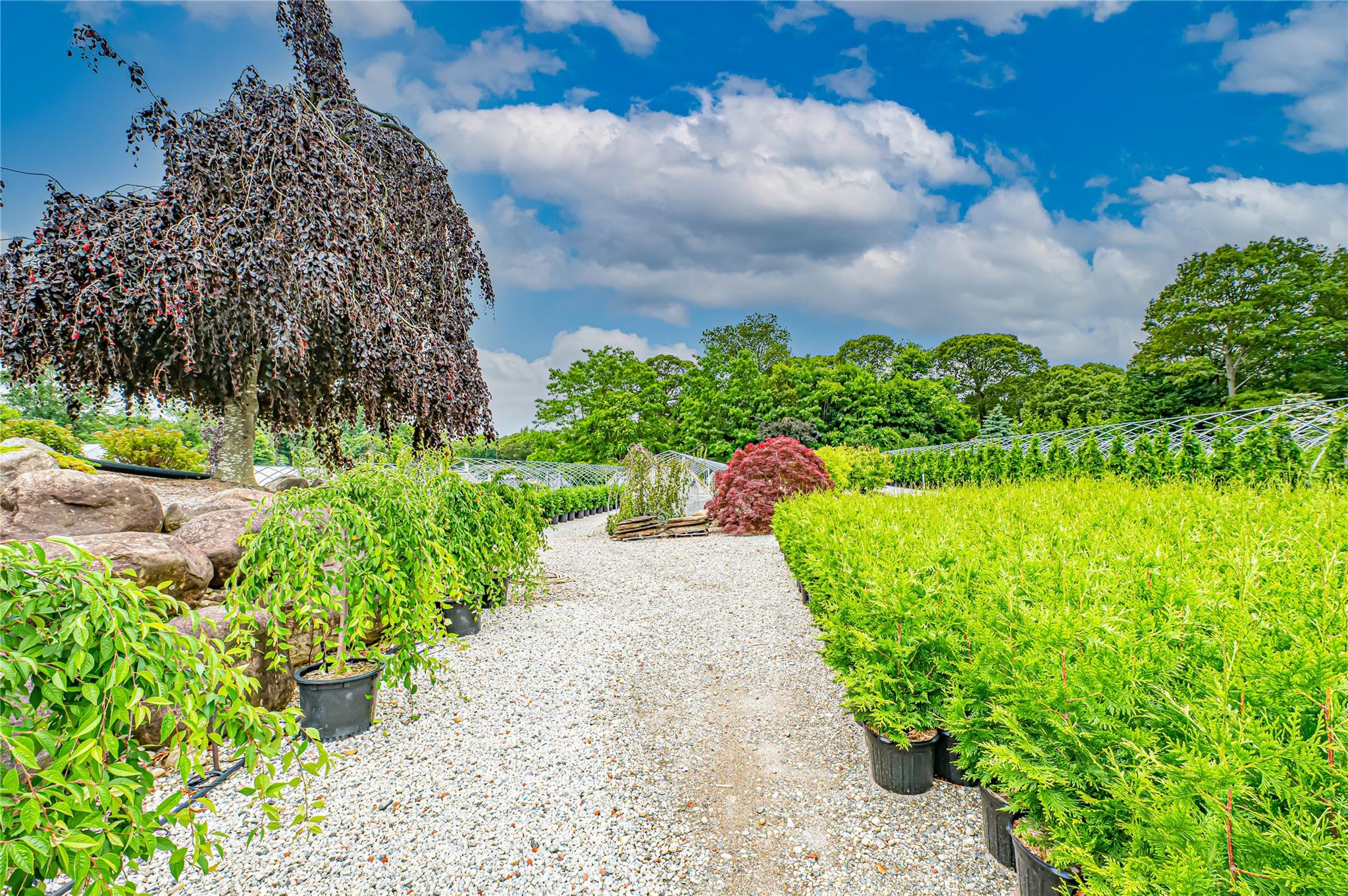 185-191 N Country Road, Mount Sinai, NY 11766