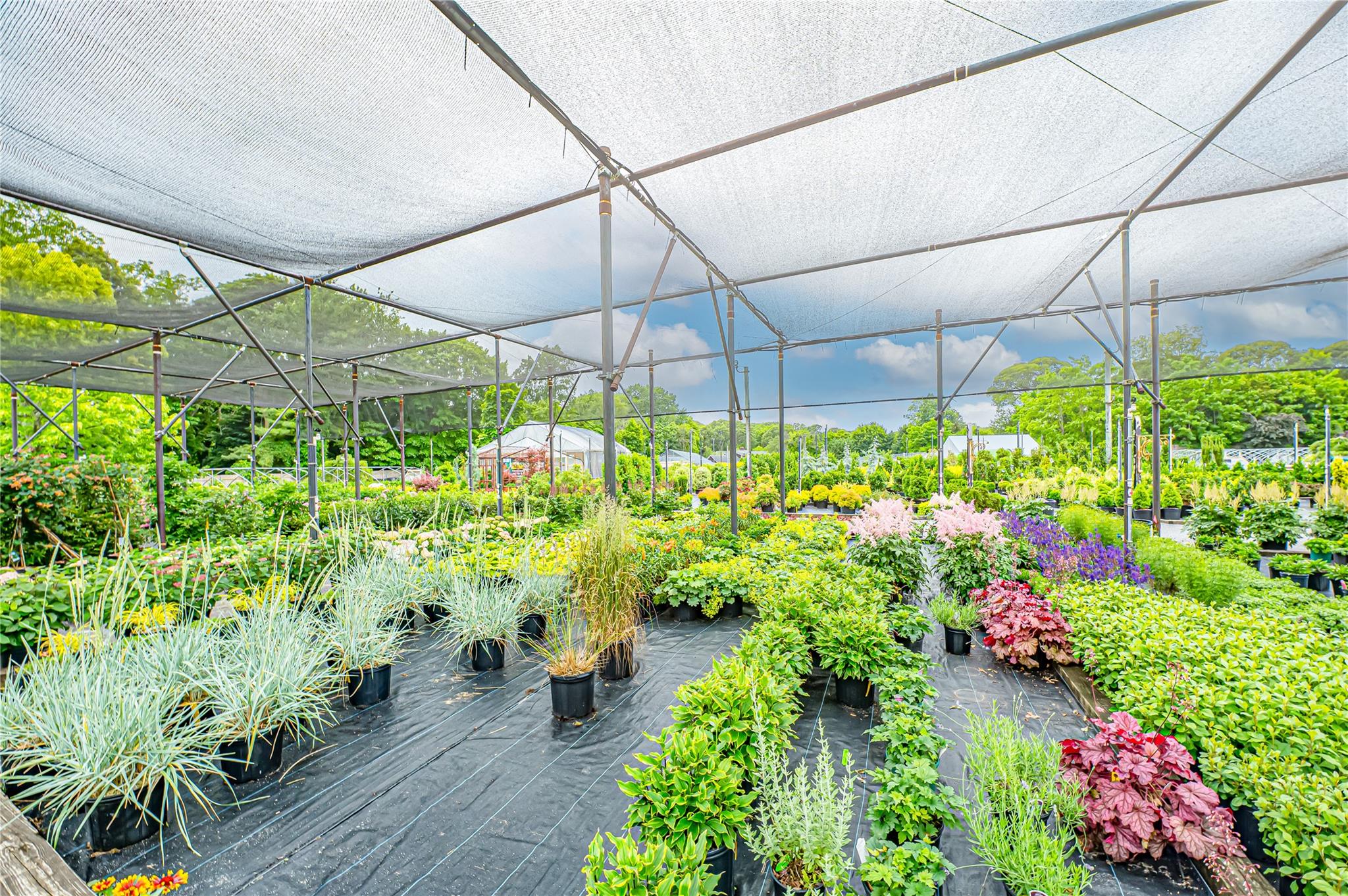 185-191 N Country Road, Mount Sinai, NY 11766