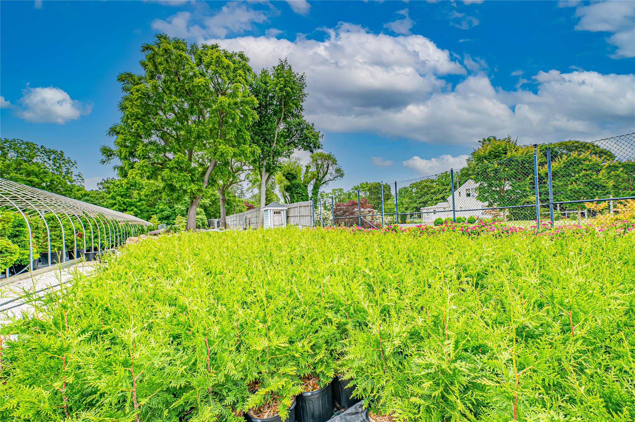 185-191 N Country Road, Mount Sinai, NY 11766