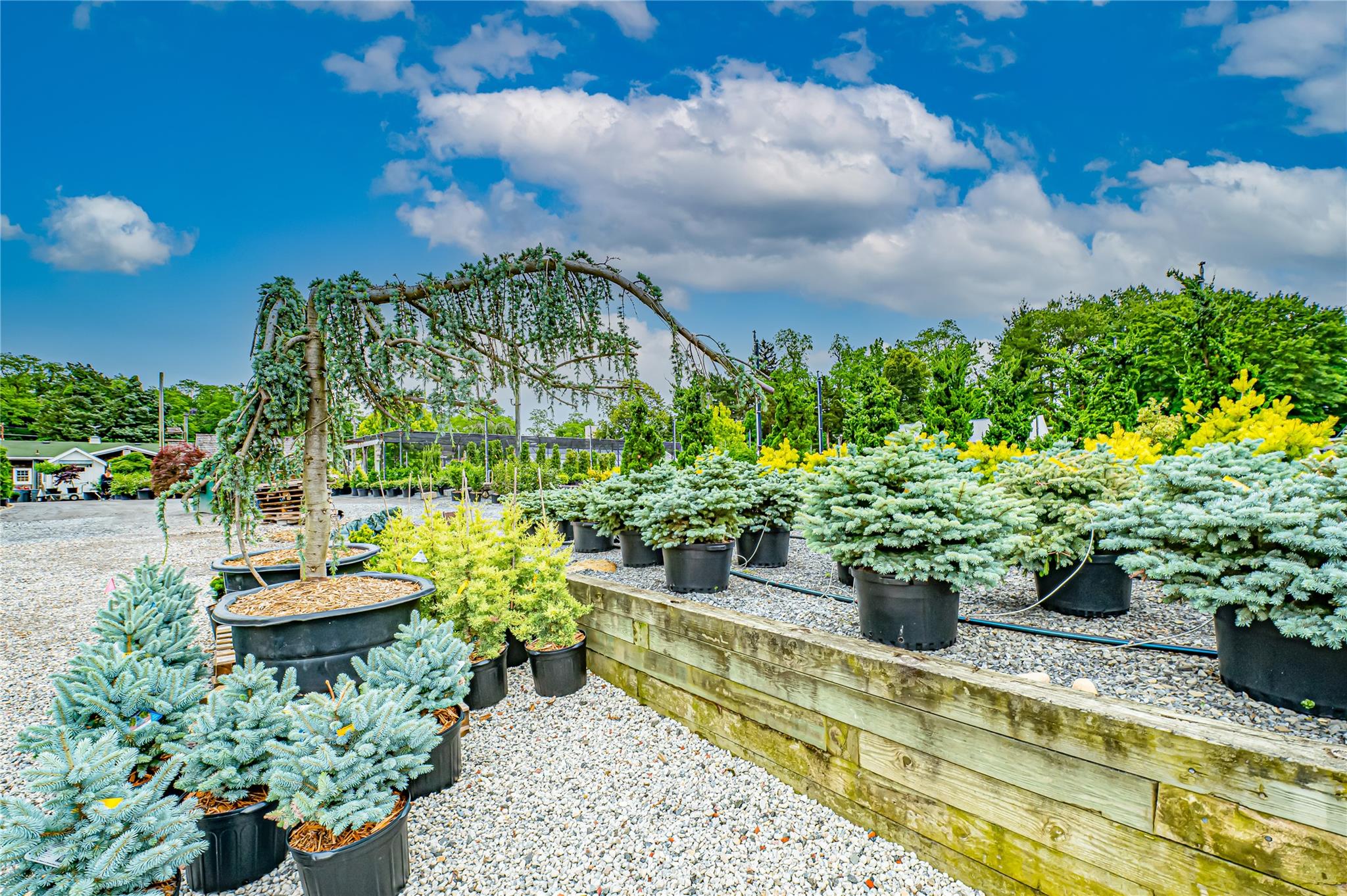 185-191 N Country Road, Mount Sinai, NY 11766