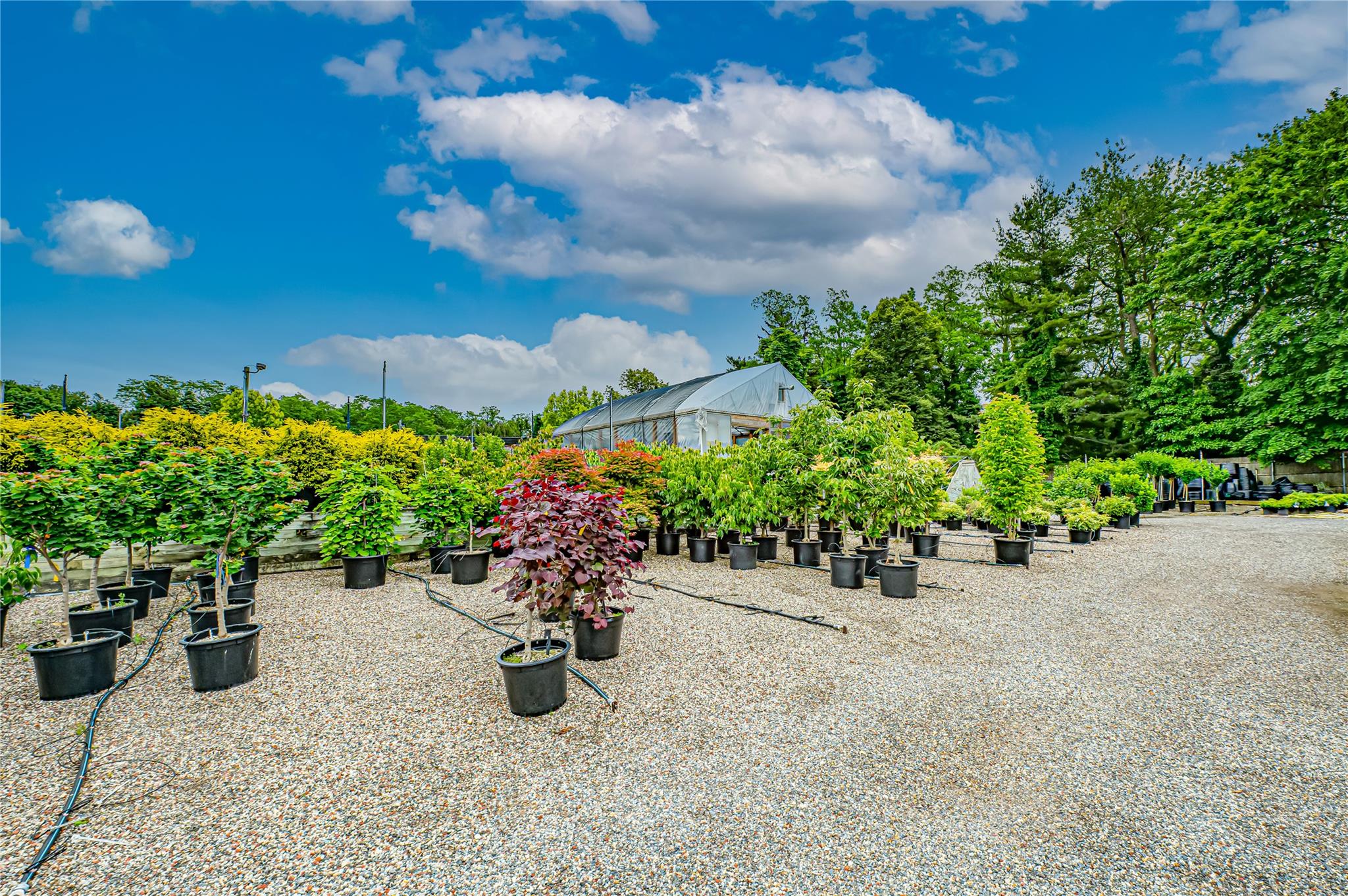 185-191 N Country Road, Mount Sinai, NY 11766