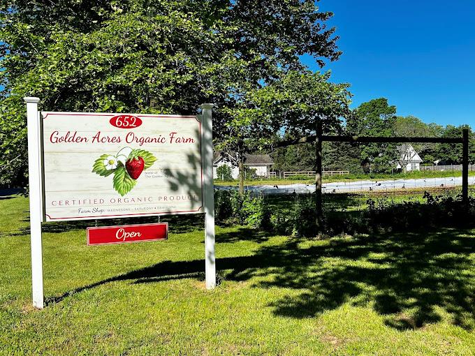 254 Meeting House Creek Road, Aquebogue, NY 11931