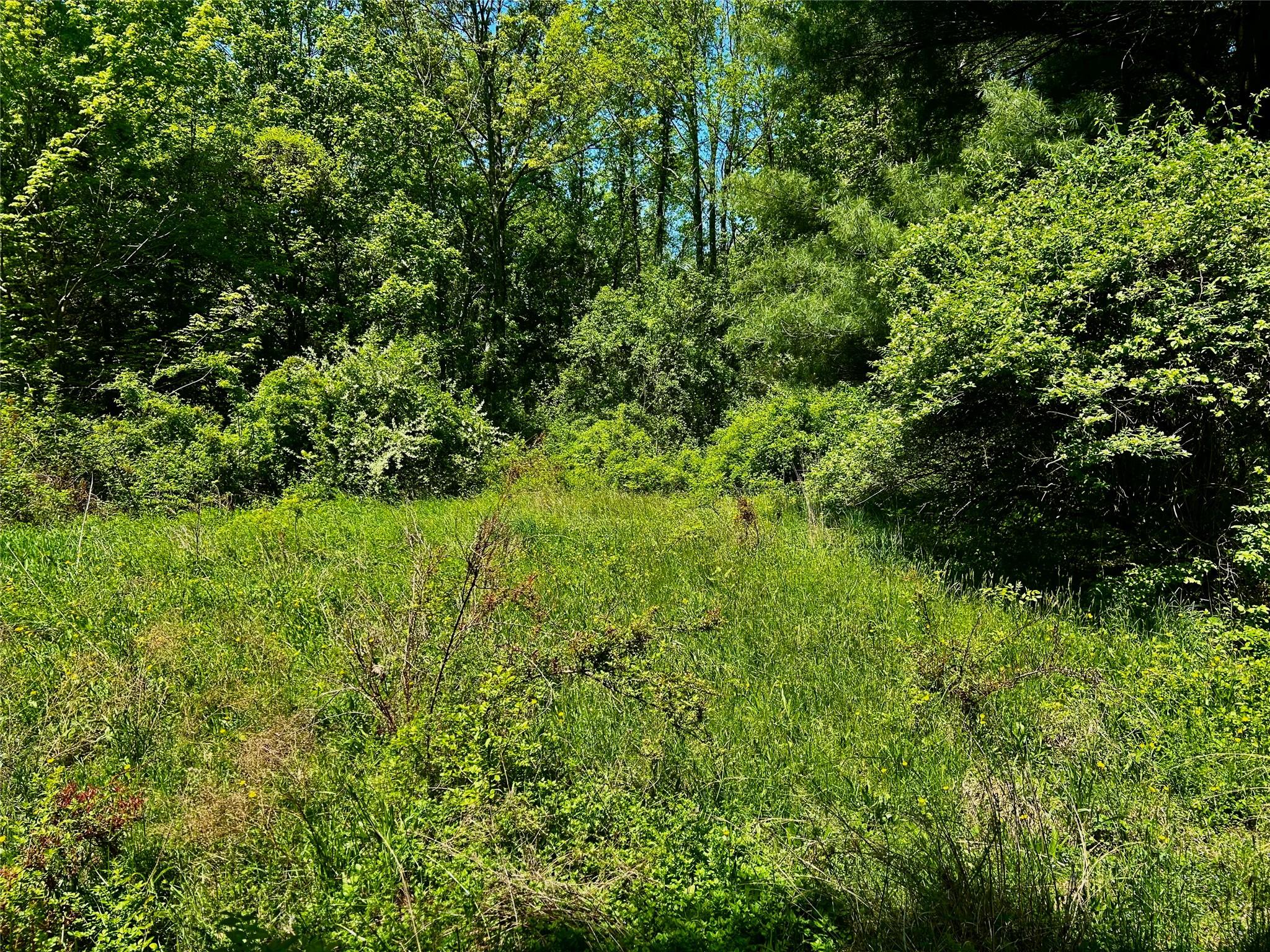 North Creek Road, Clinton Corners, NY 12580