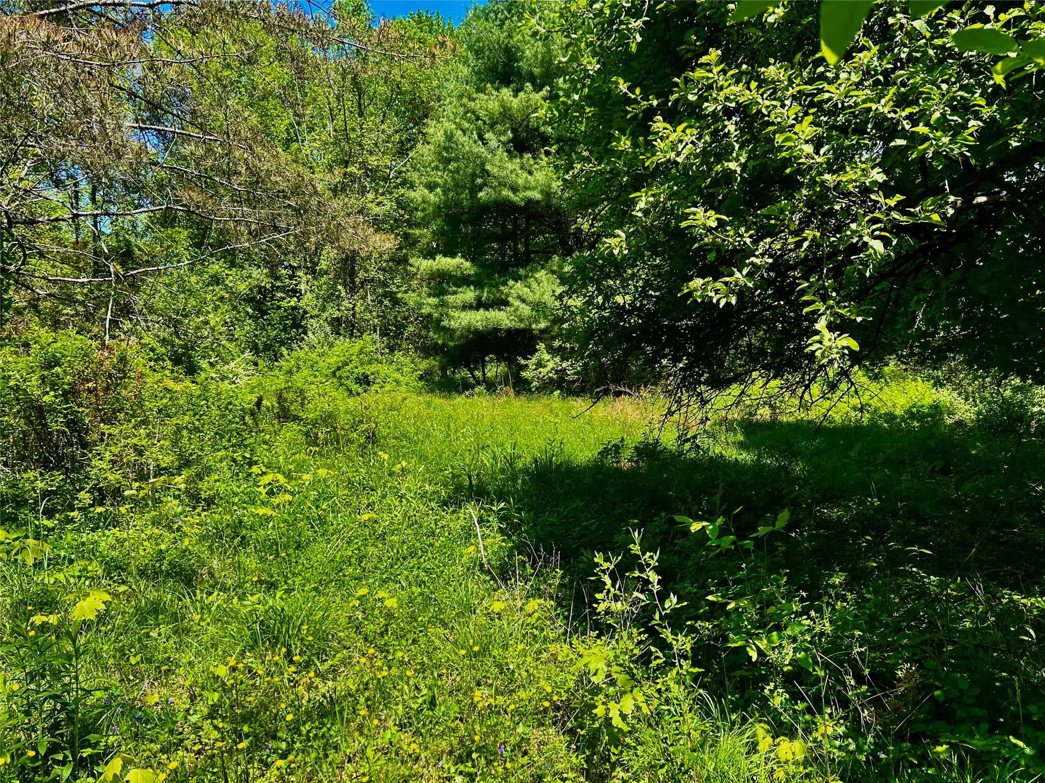 North Creek Road, Clinton Corners, NY 12580