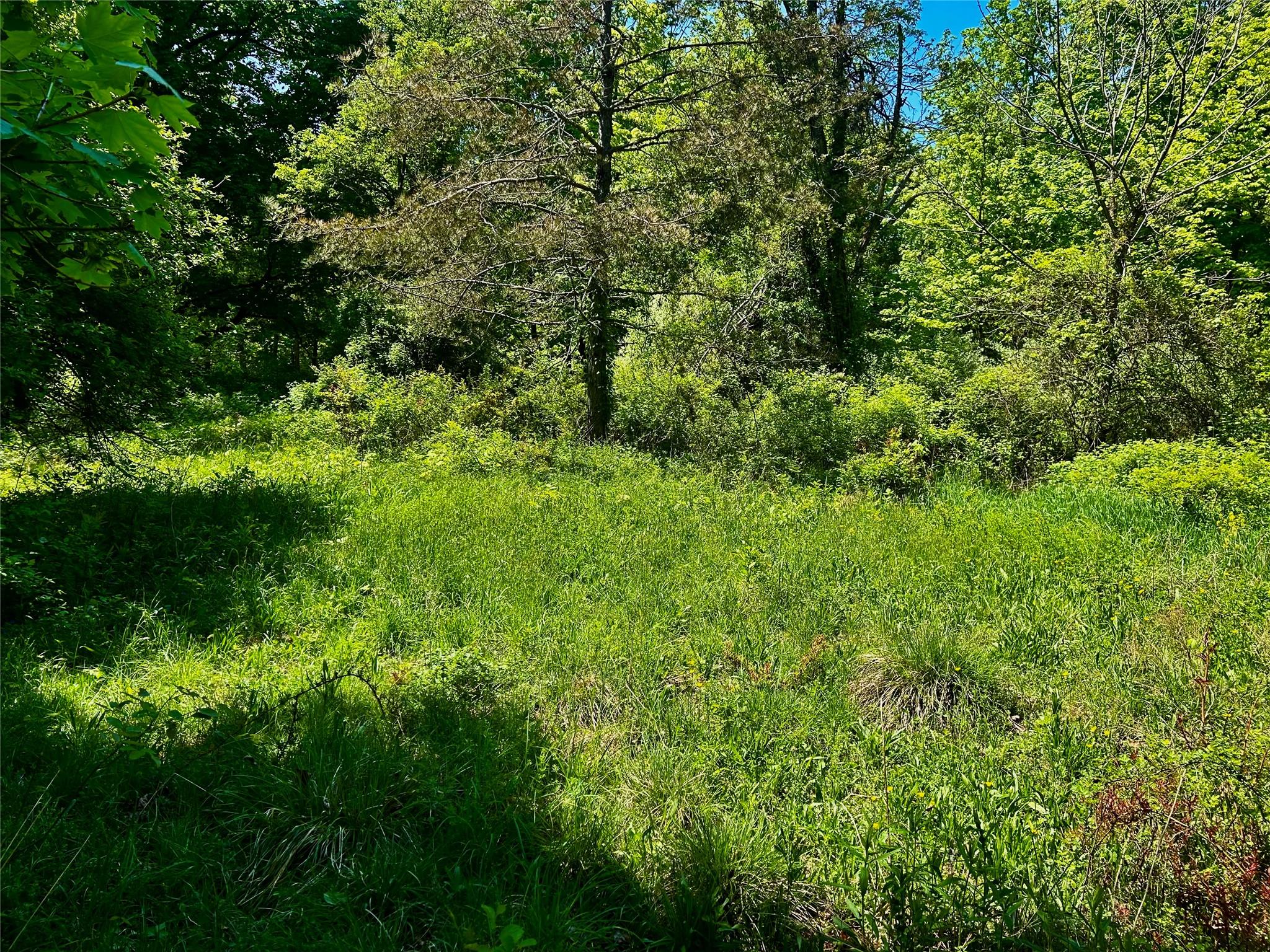 North Creek Road, Clinton Corners, NY 12580