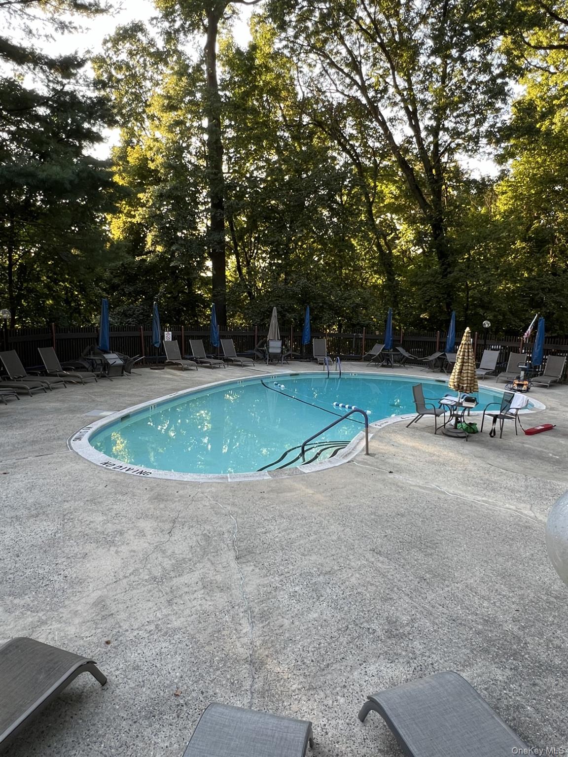 1 David Lane # 2-G, Yonkers, NY 10701