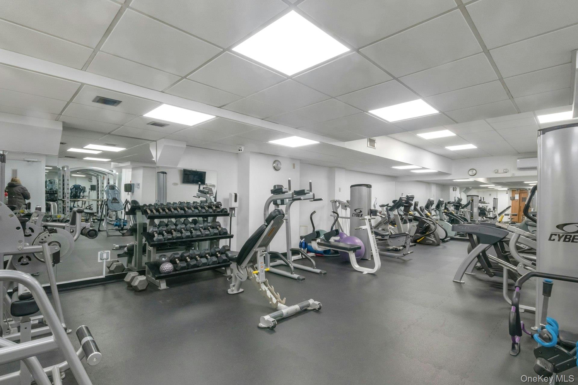 1 David Lane # 2-G, Yonkers, NY 10701