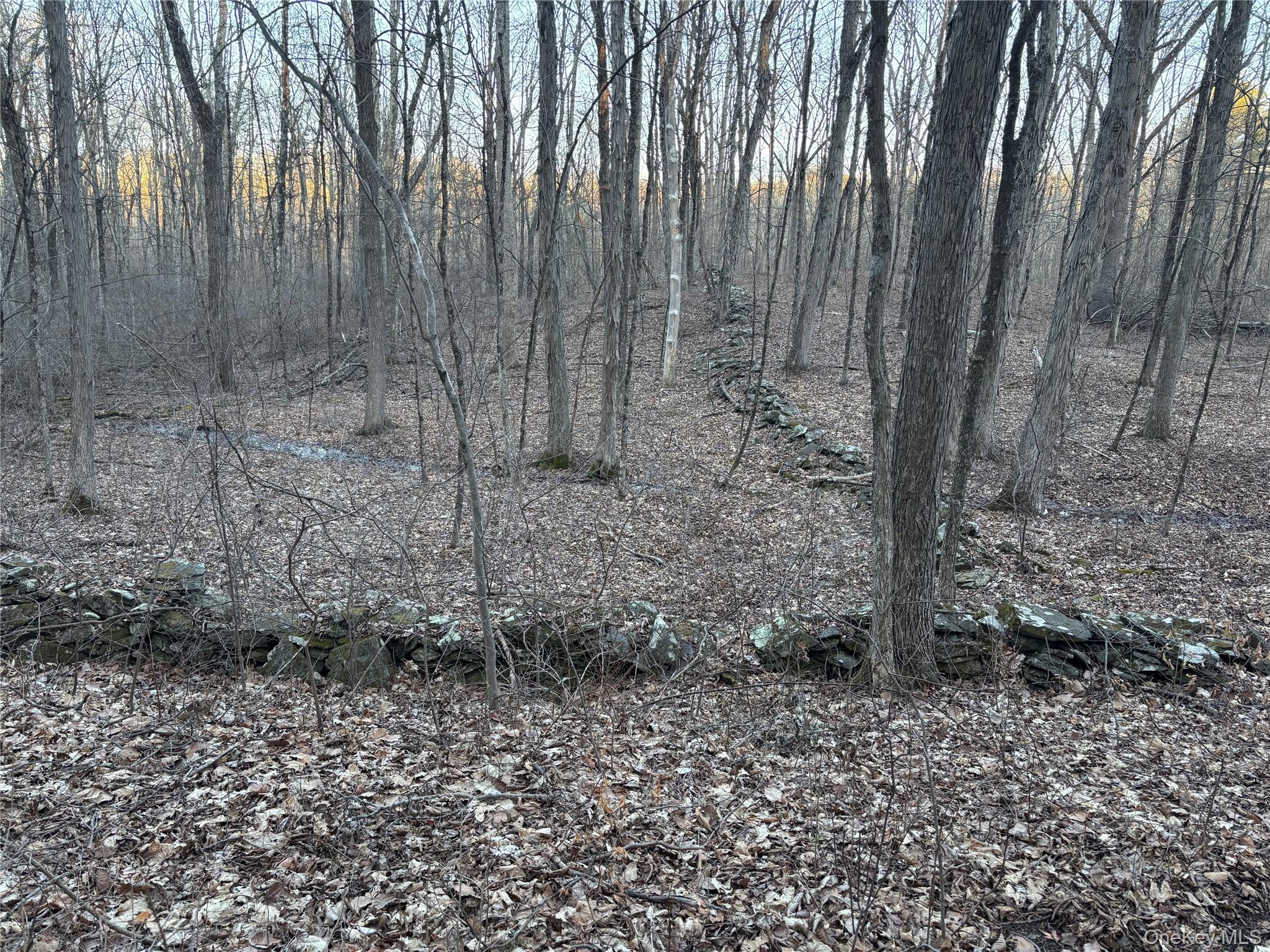 Barkit Kennel Rd, Pleasant Valley, NY