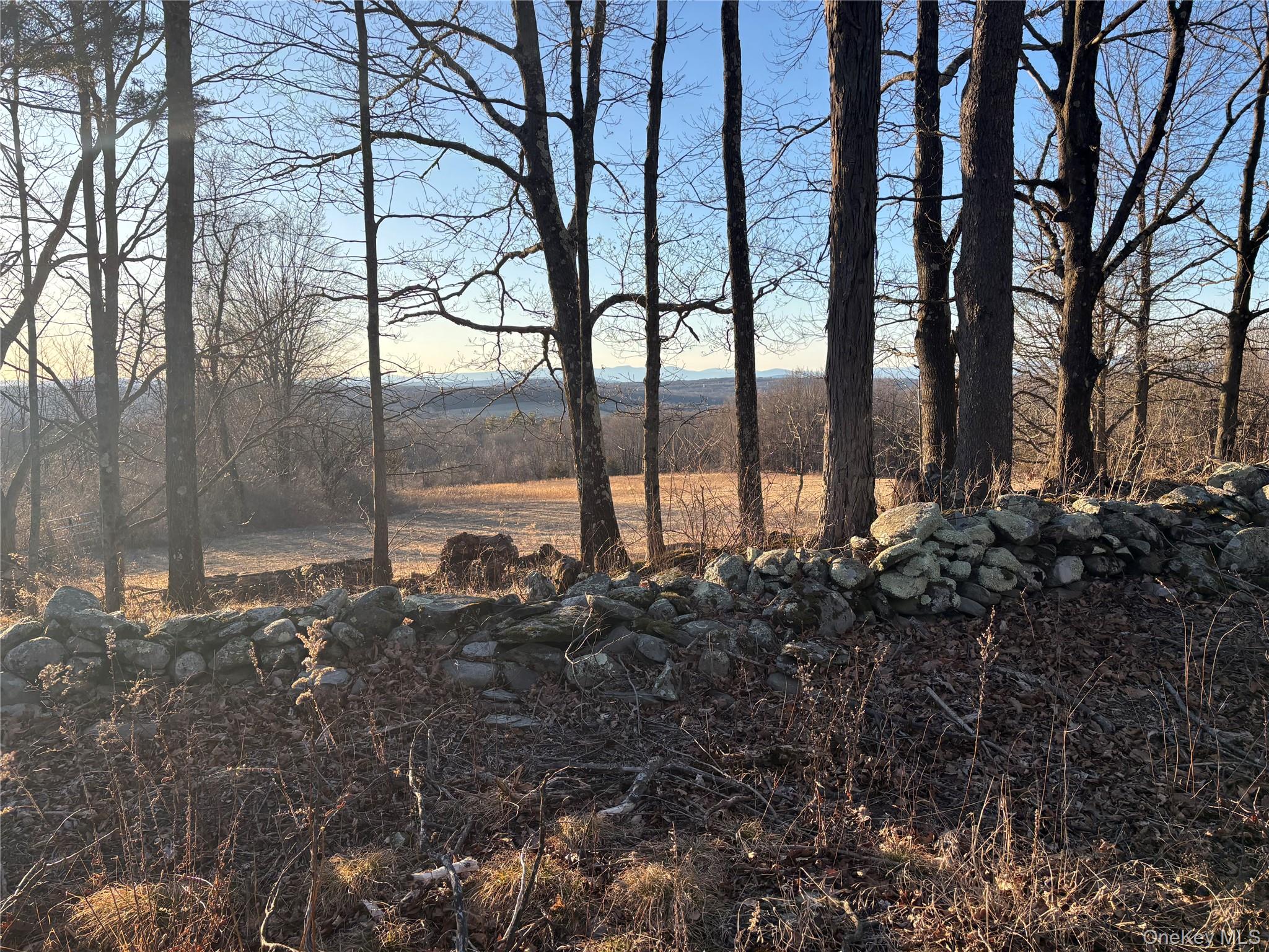 Barkit Kennel Rd, Pleasant Valley, NY