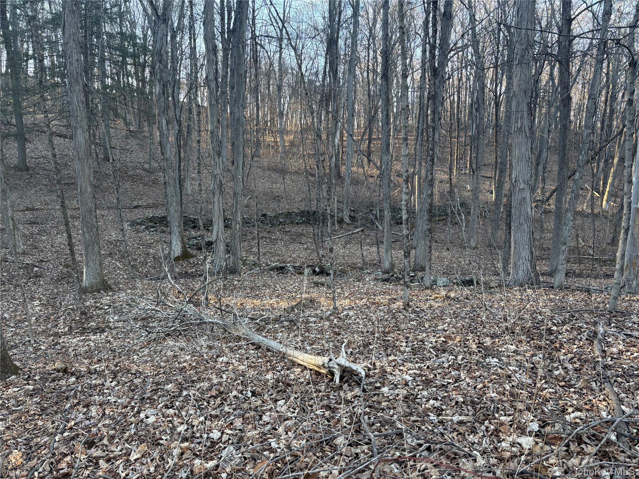 Barkit Kennel Rd, Pleasant Valley, NY