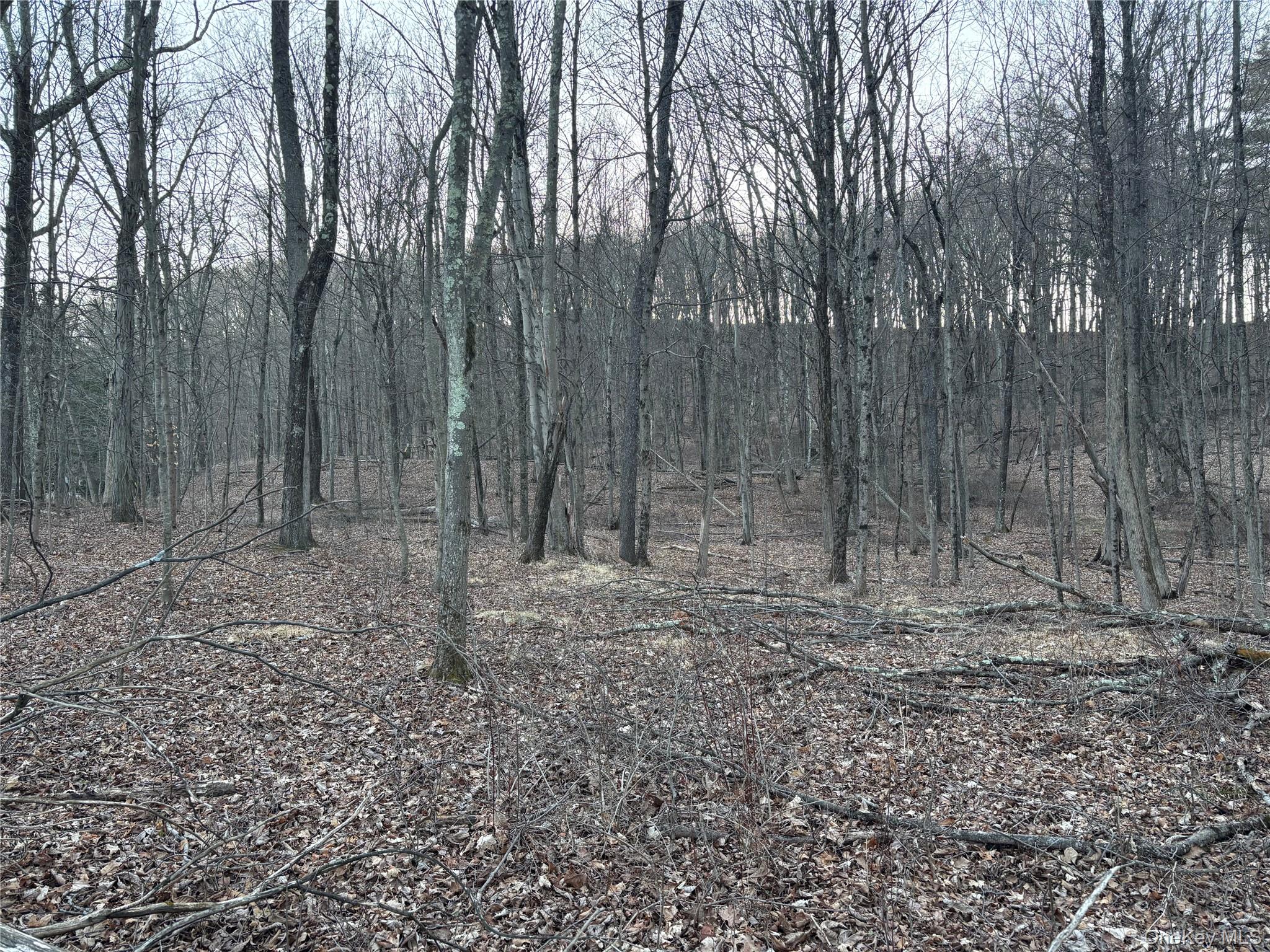 Barkit Kennel Rd, Pleasant Valley, NY