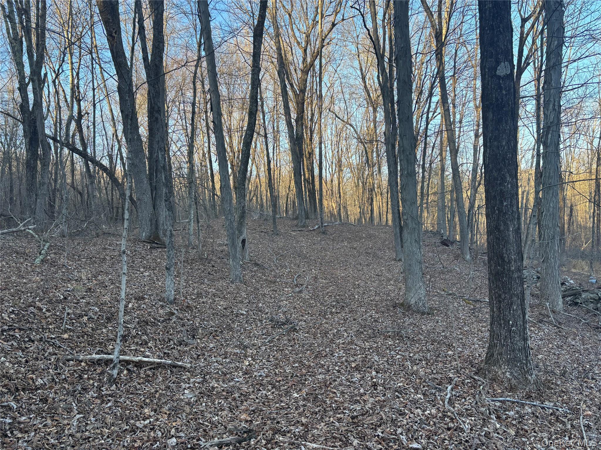 Barkit Kennel Rd, Pleasant Valley, NY