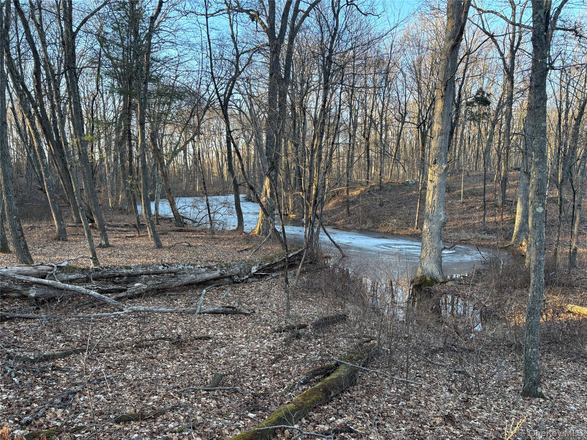 Barkit Kennel Rd, Pleasant Valley, NY