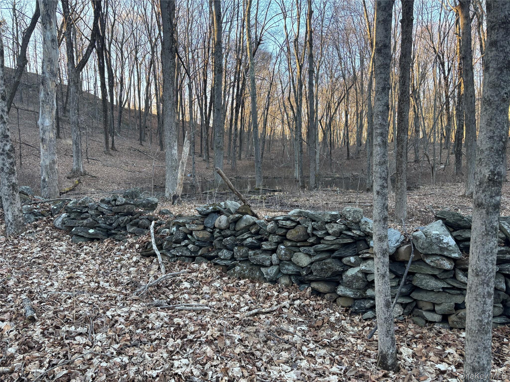 Barkit Kennel Rd, Pleasant Valley, NY