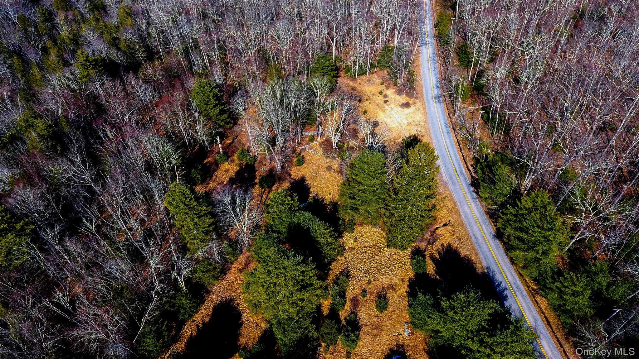 1021 Pine Kill Road, Wurtsboro, NY 12790