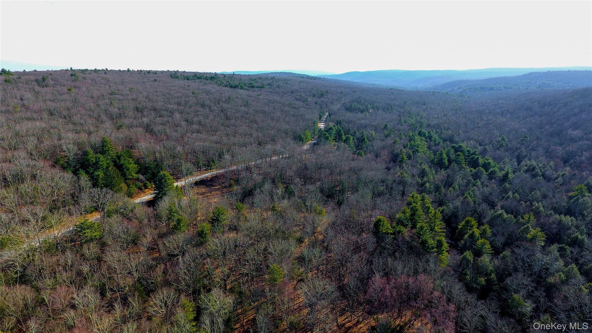 1021 Pine Kill Road, Wurtsboro, NY 12790