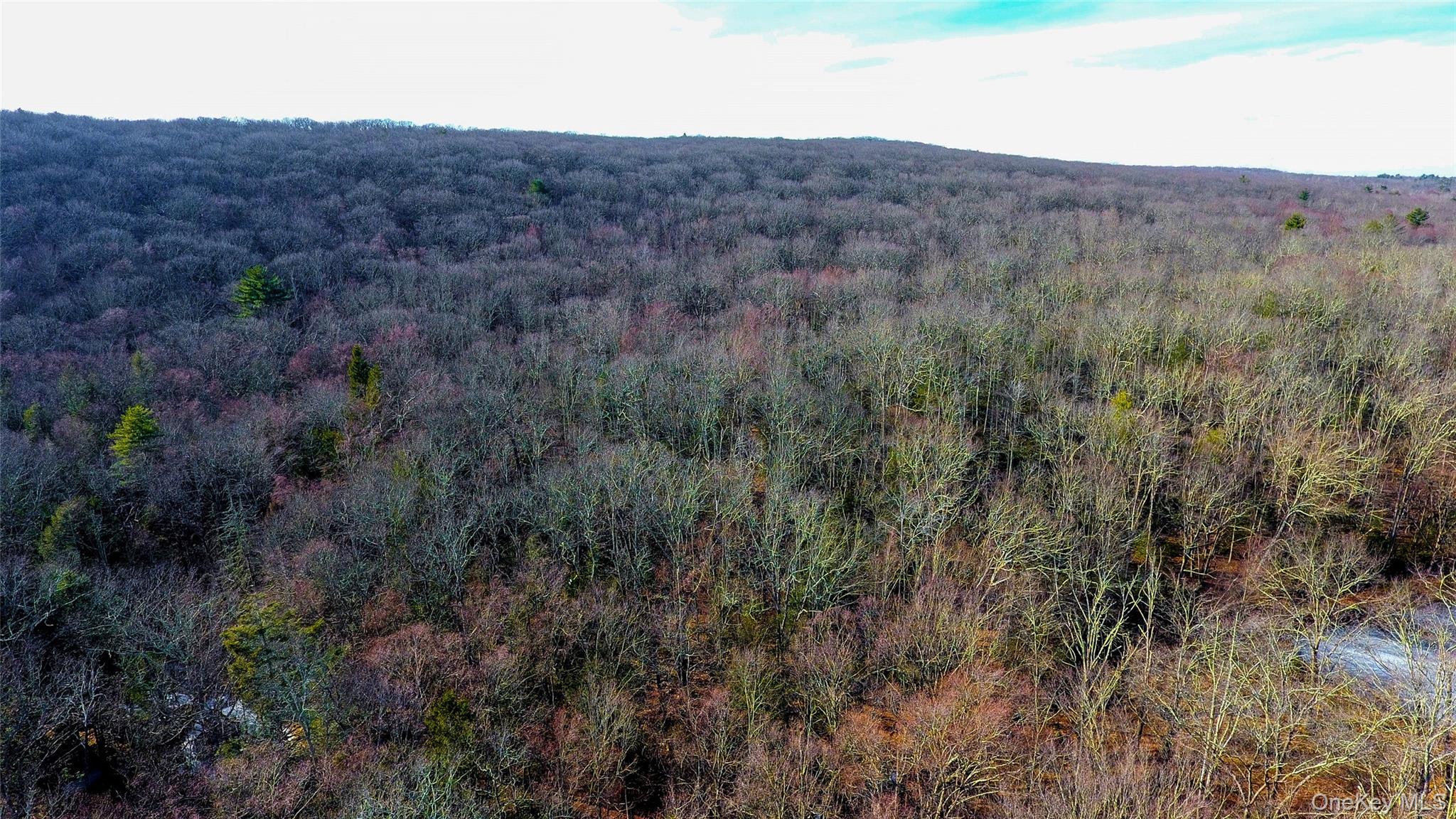 1021 Pine Kill Road, Wurtsboro, NY 12790