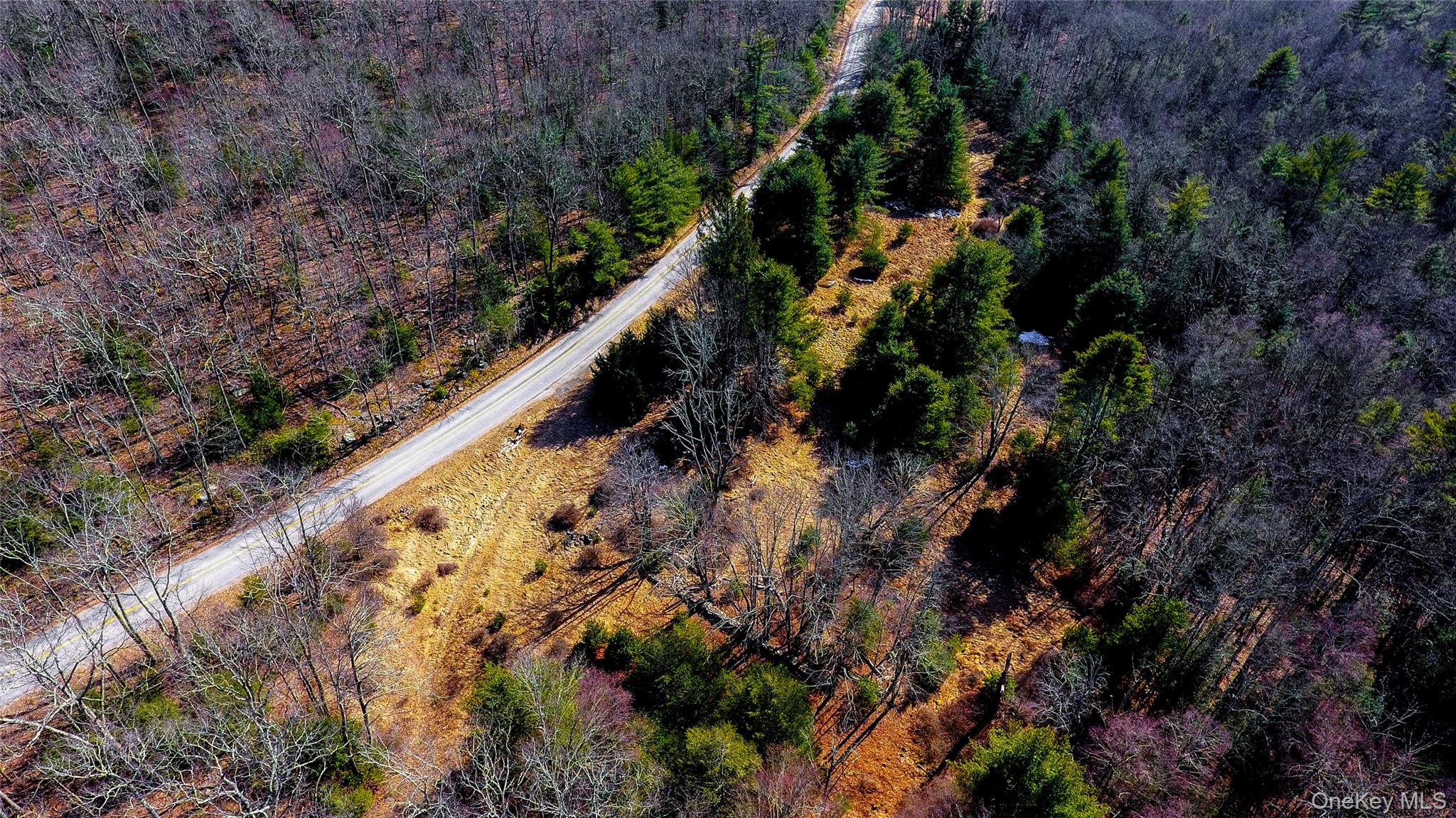 1021 Pine Kill Road, Wurtsboro, NY 12790