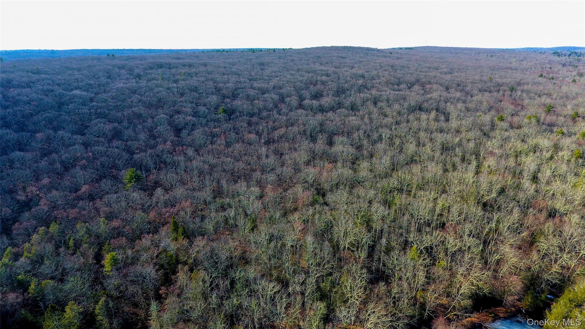 1021 Pine Kill Road, Wurtsboro, NY 12790