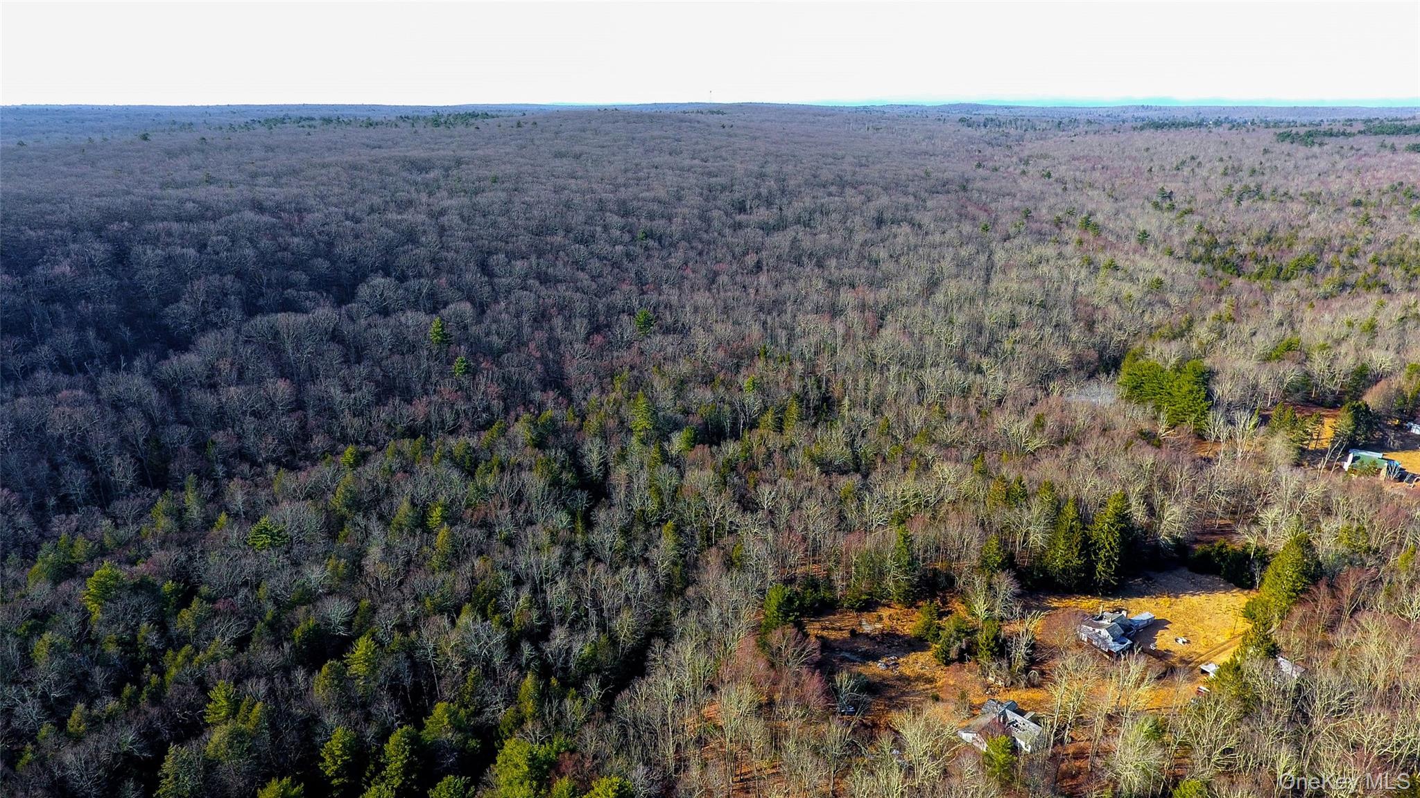 1021 Pine Kill Road, Wurtsboro, NY 12790