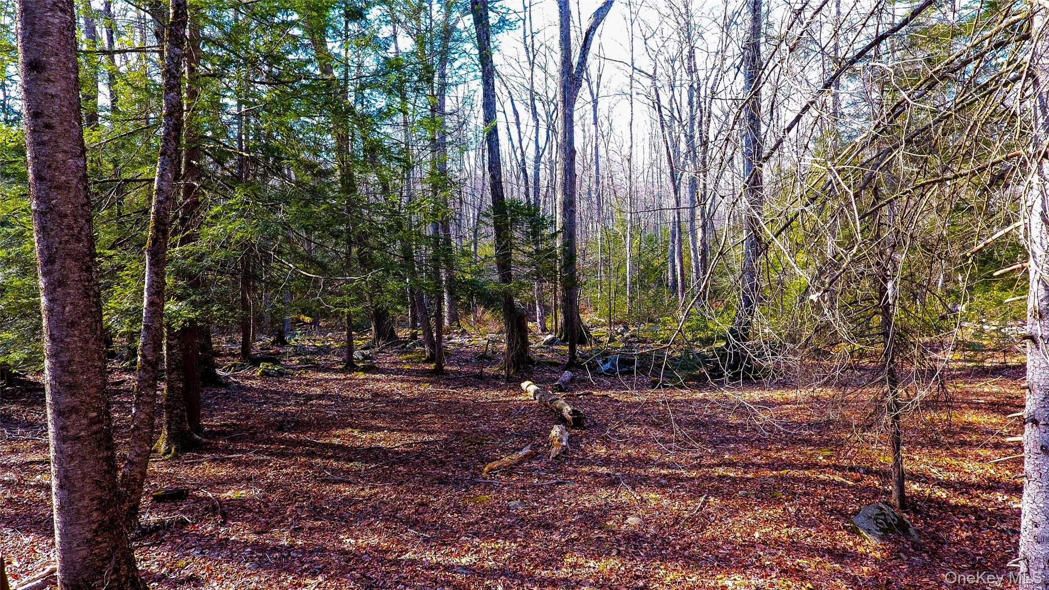 1021 Pine Kill Road, Wurtsboro, NY 12790