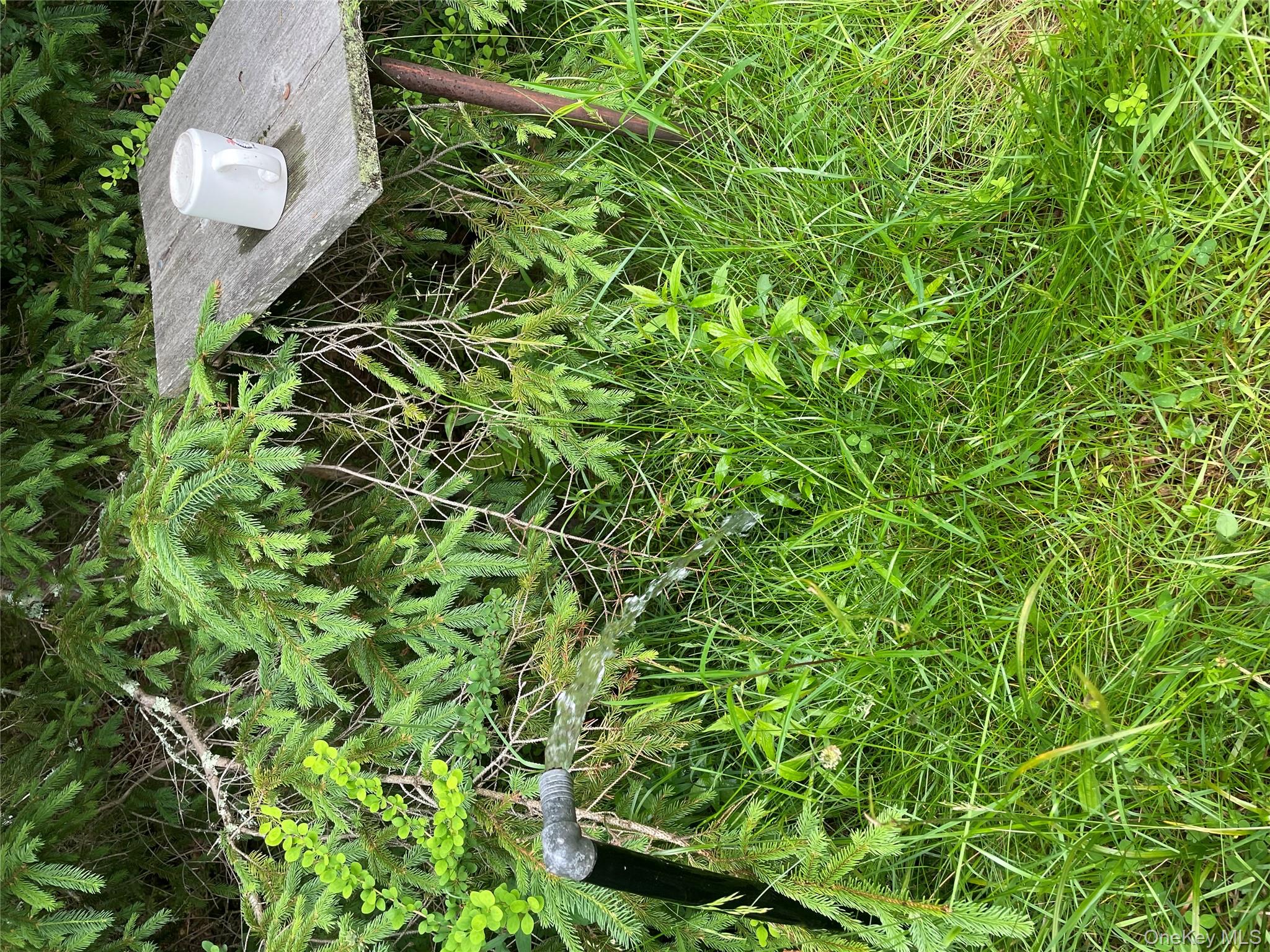 1021 Pine Kill Road, Wurtsboro, NY 12790