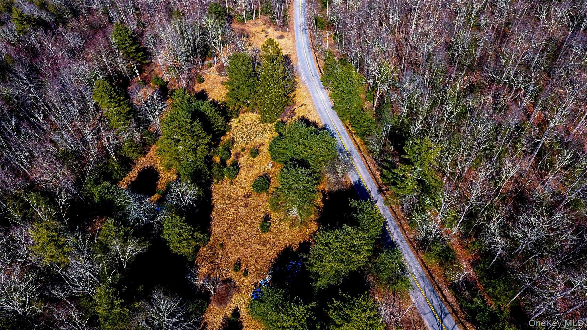 1021 Pine Kill Road, Wurtsboro, NY 12790