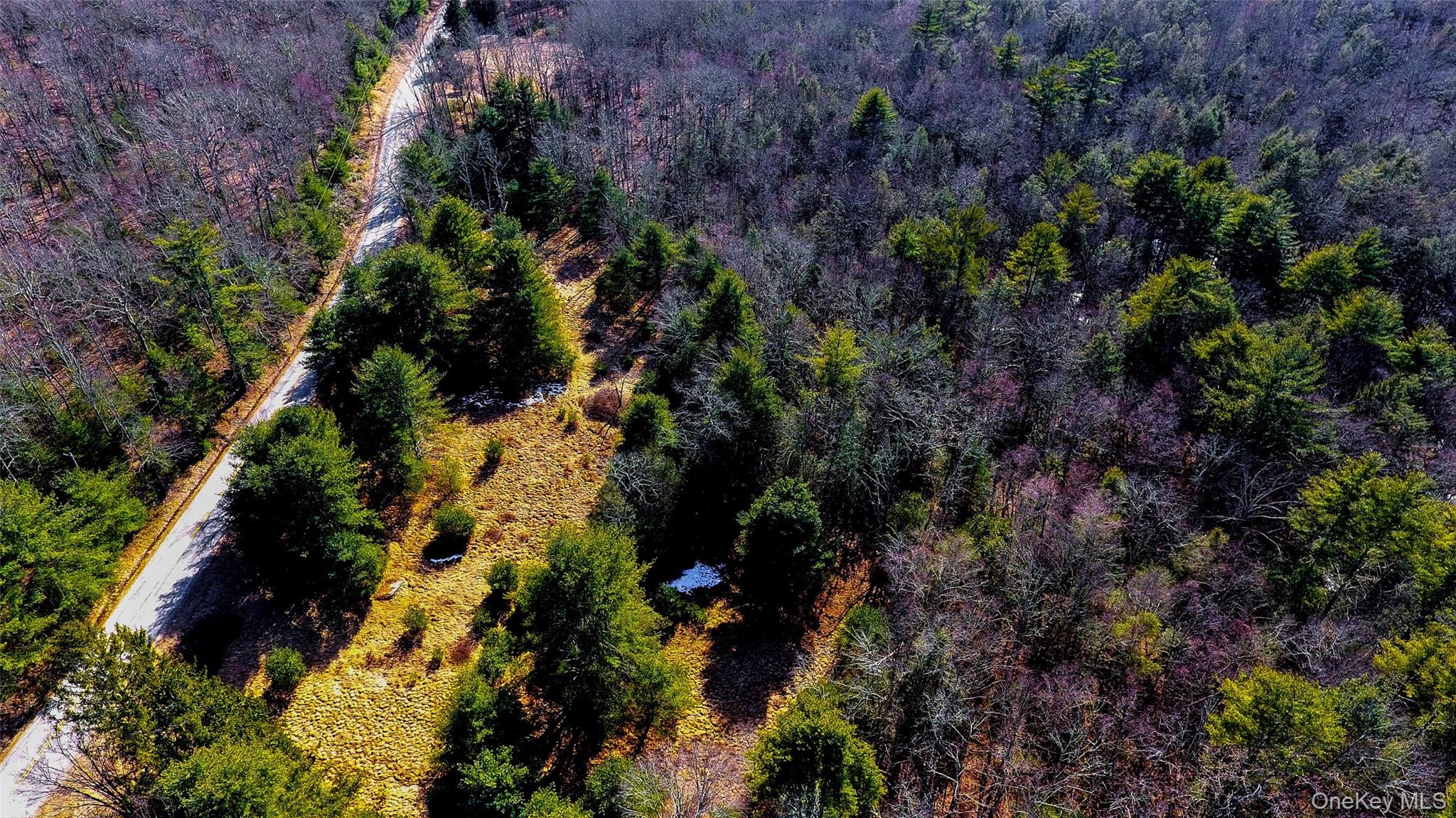 1021 Pine Kill Road, Wurtsboro, NY 12790