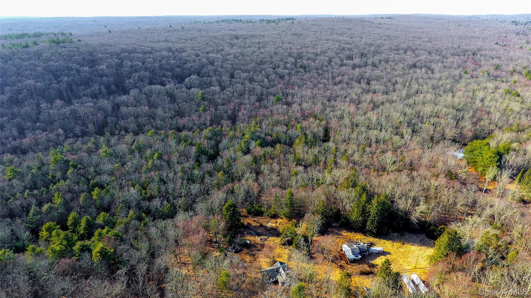 1021 Pine Kill Road, Wurtsboro, NY 12790