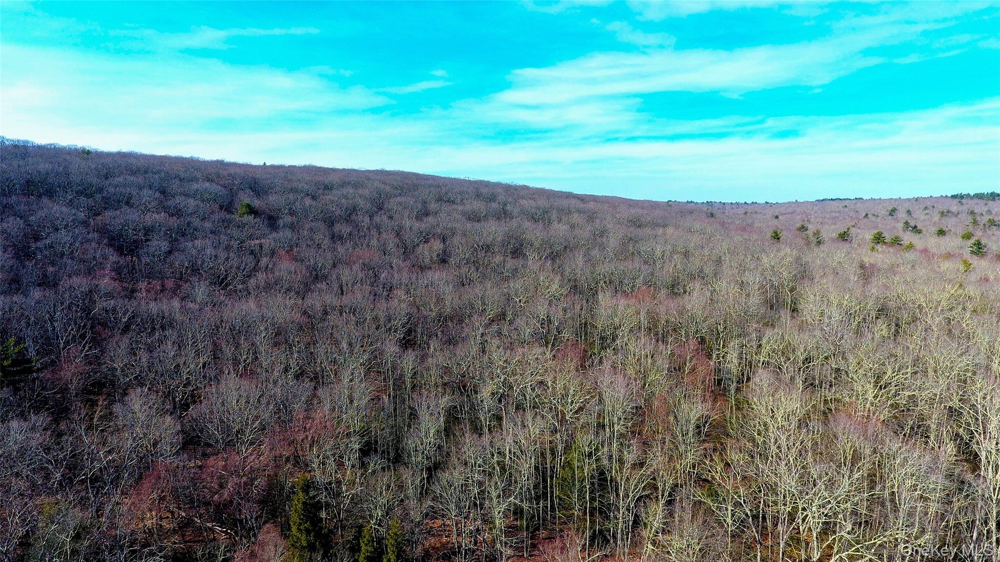 1021 Pine Kill Road, Wurtsboro, NY 12790