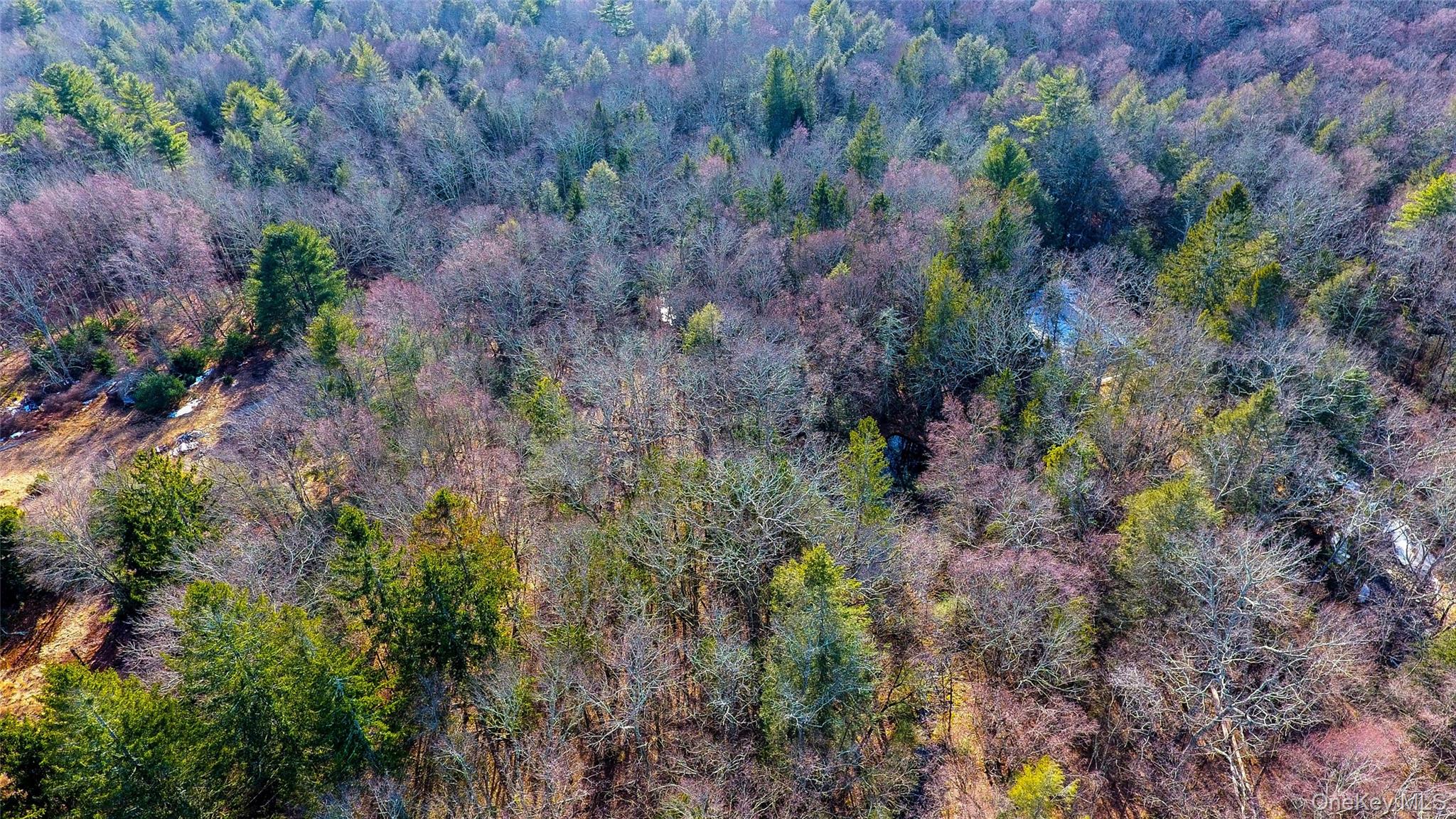 1021 Pine Kill Road, Wurtsboro, NY 12790