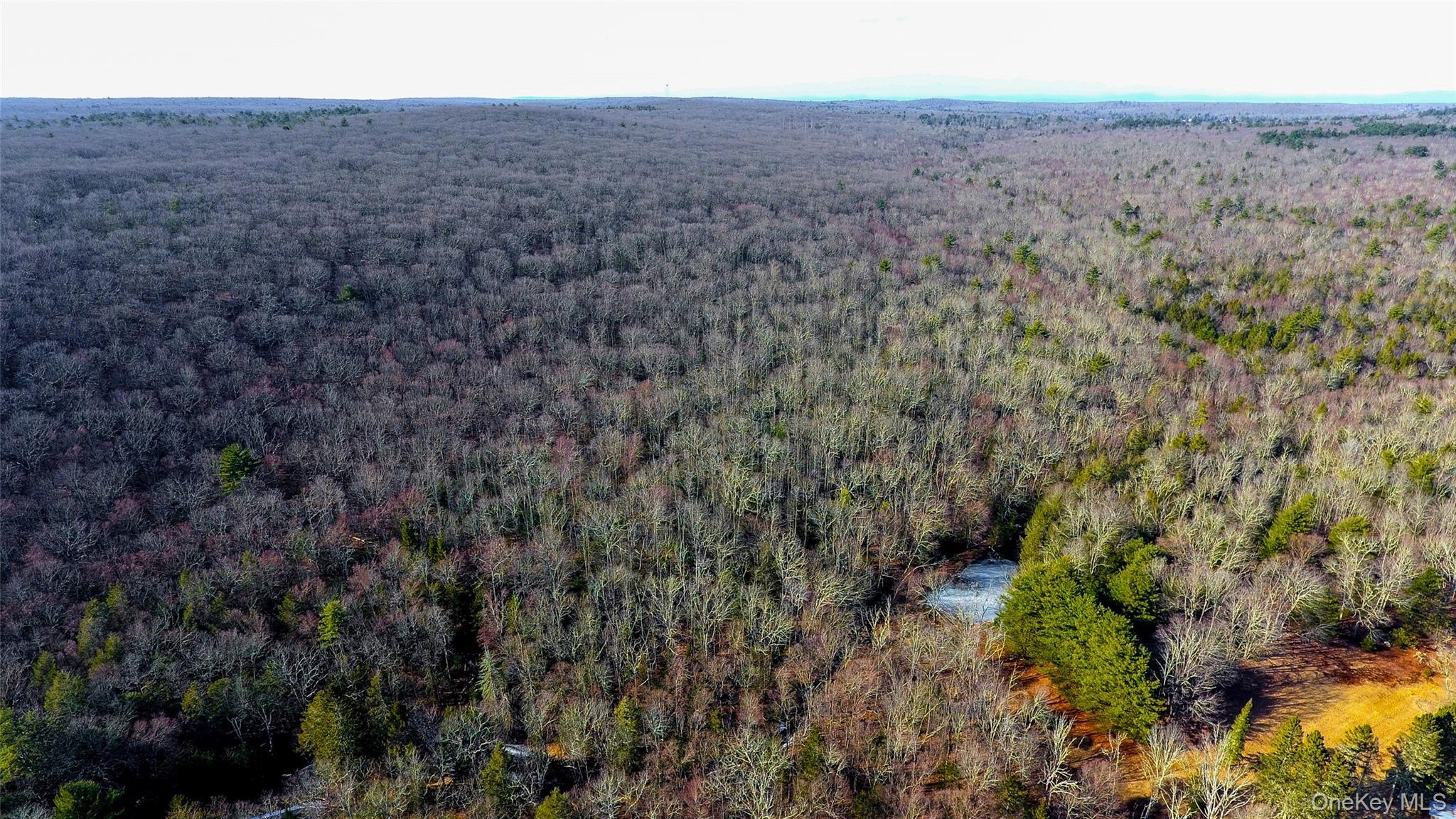 1021 Pine Kill Road, Wurtsboro, NY 12790