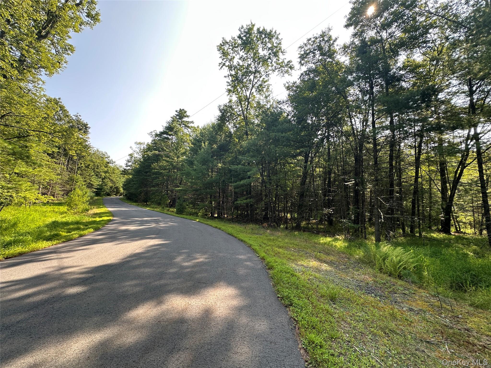 Lot 46 Summit Drive, Barryville, NY 12719