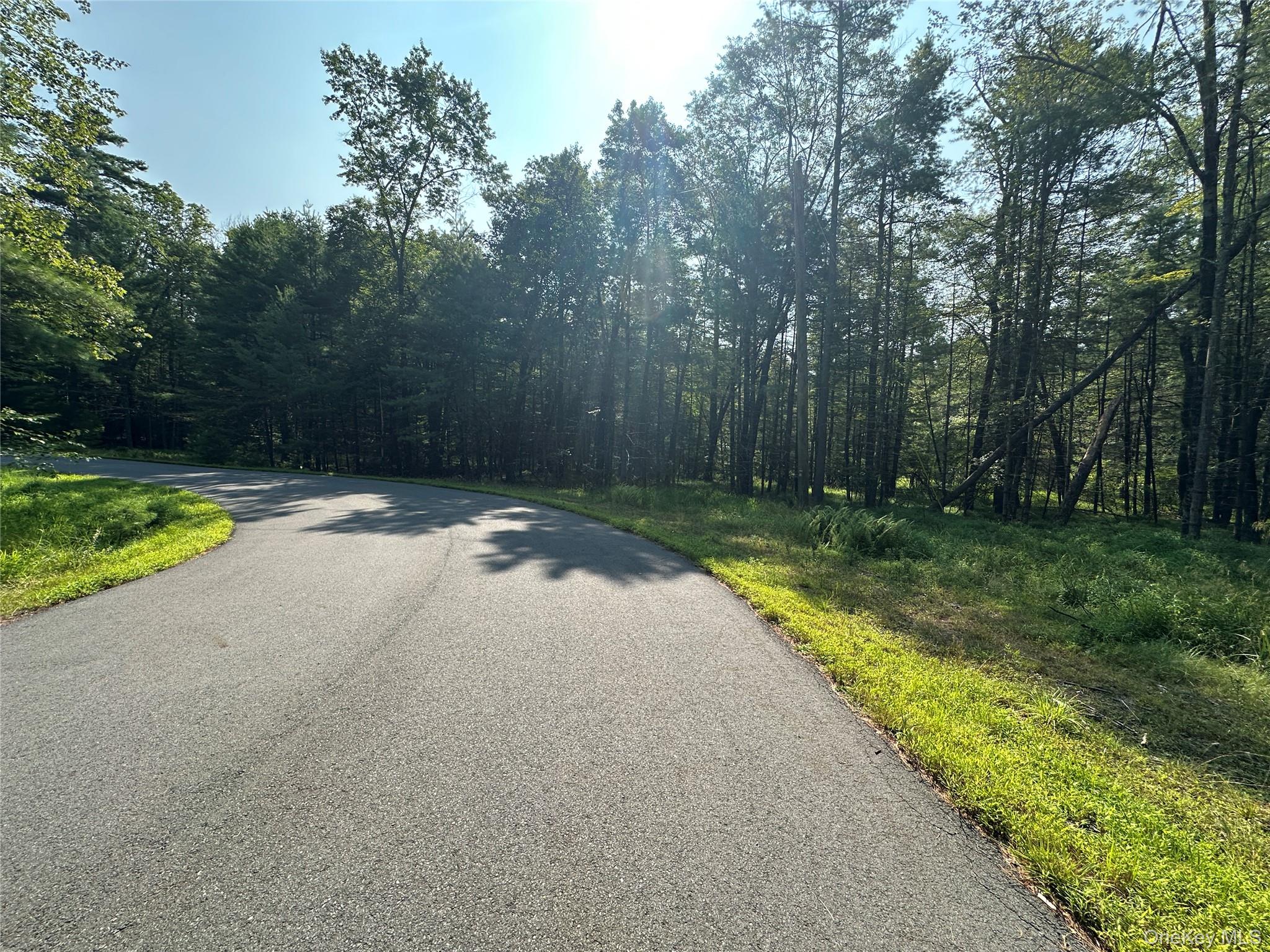 Lot 46 Summit Drive, Barryville, NY 12719