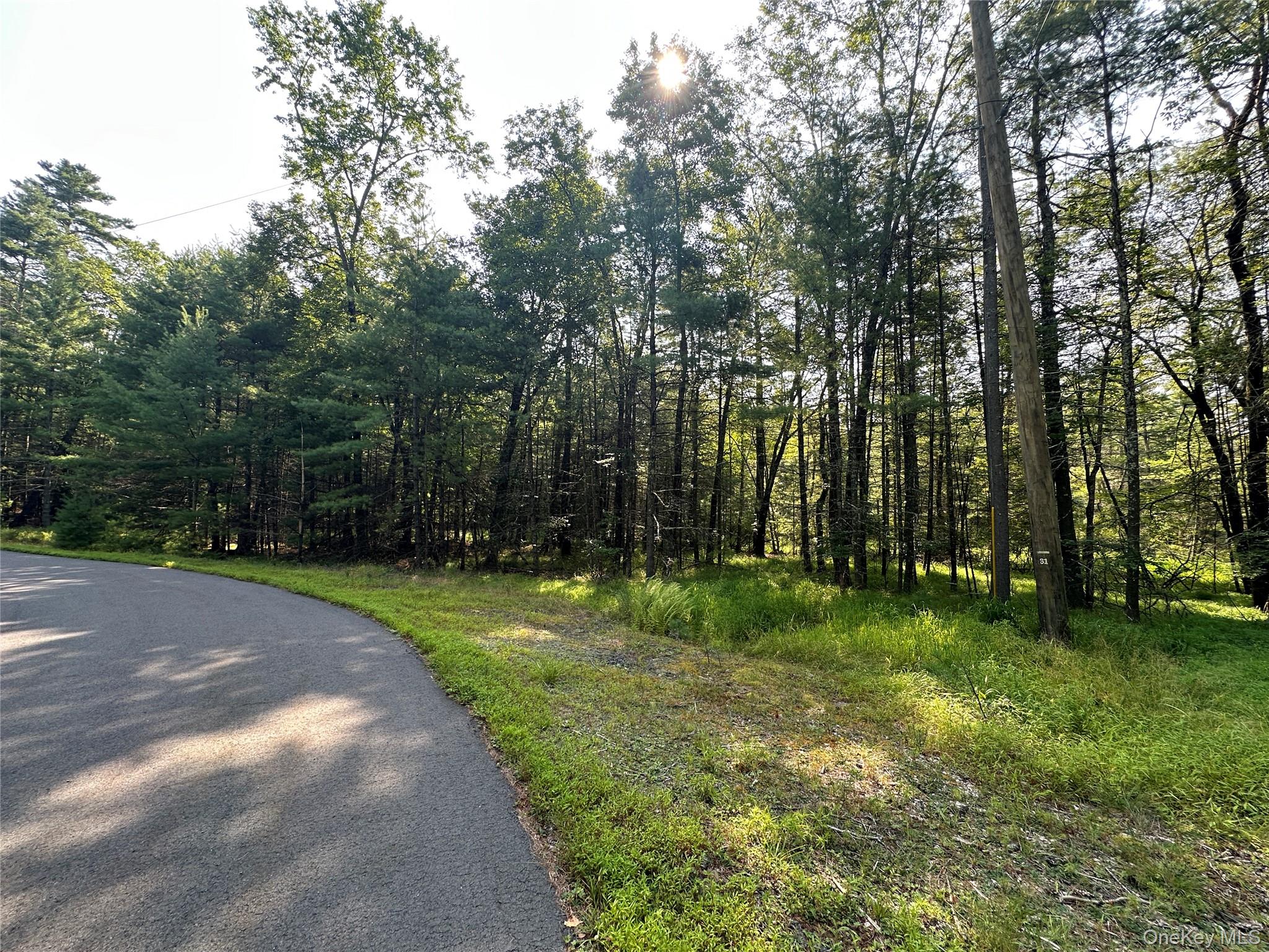 Lot 46 Summit Drive, Barryville, NY 12719