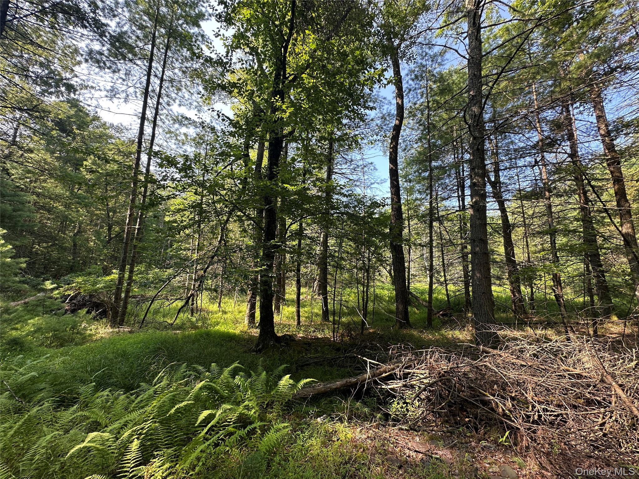 Lot 46 Summit Drive, Barryville, NY 12719