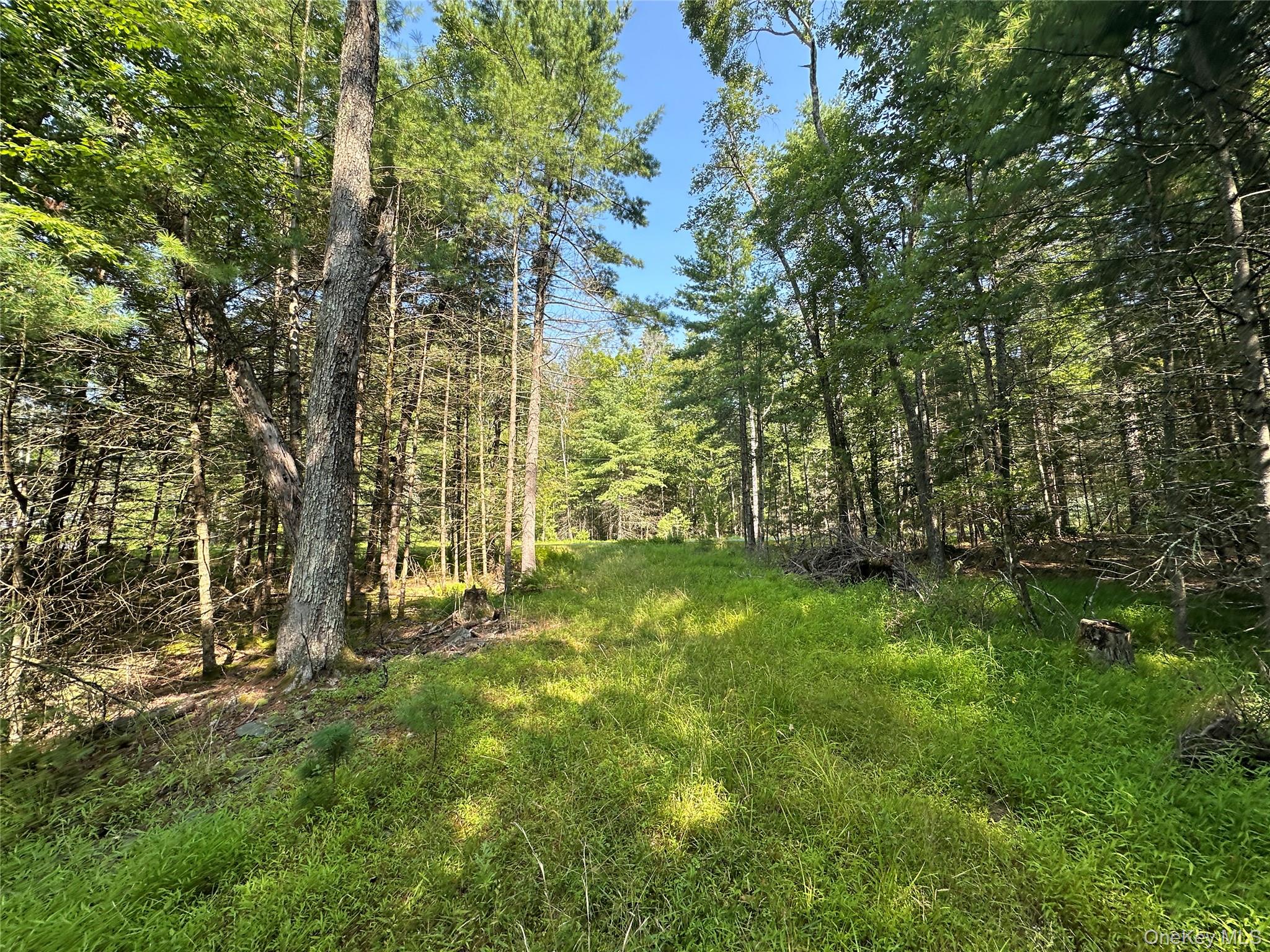 Lot 46 Summit Drive, Barryville, NY 12719