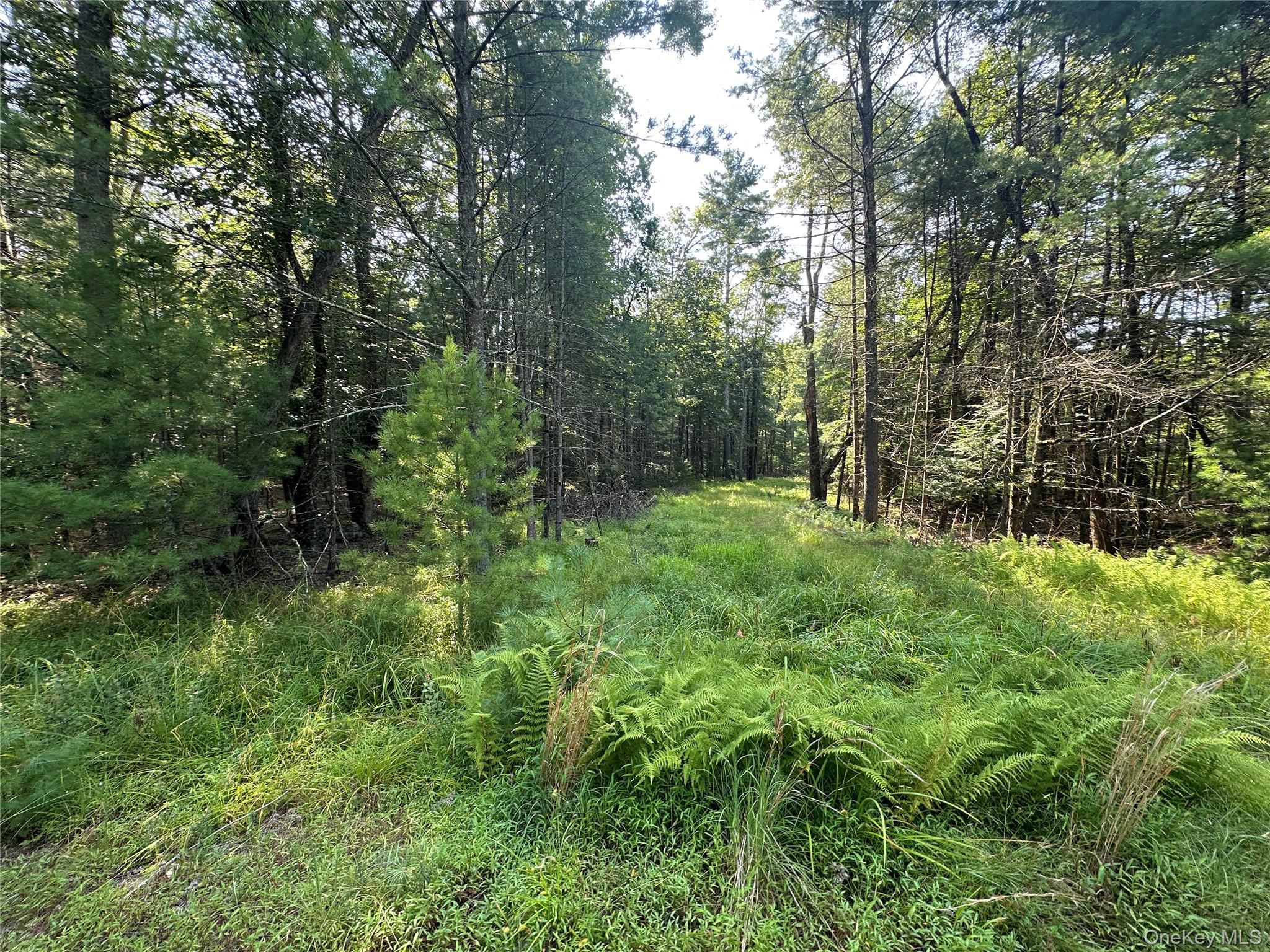 Lot 46 Summit Drive, Barryville, NY 12719