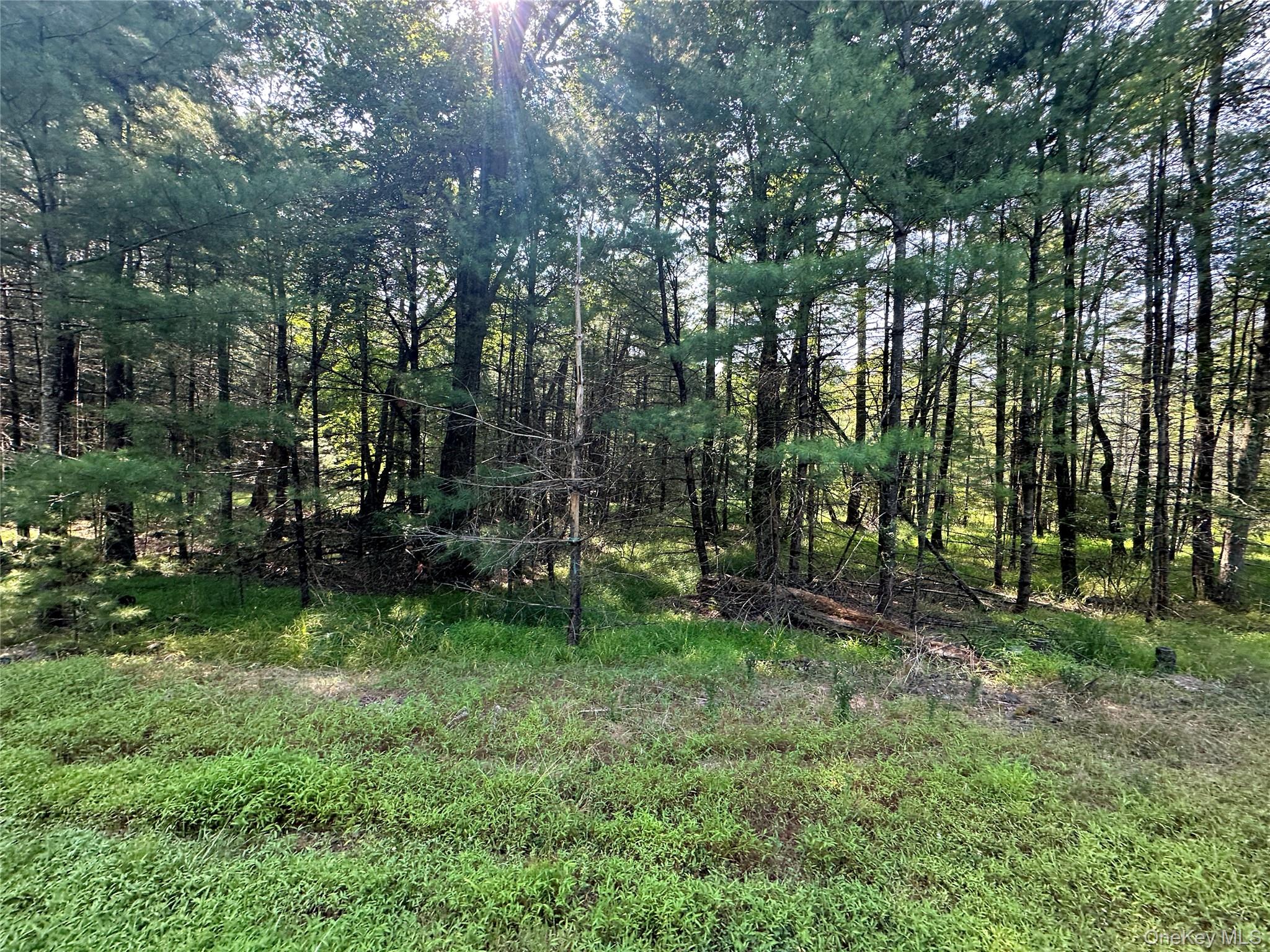 Lot 46 Summit Drive, Barryville, NY 12719