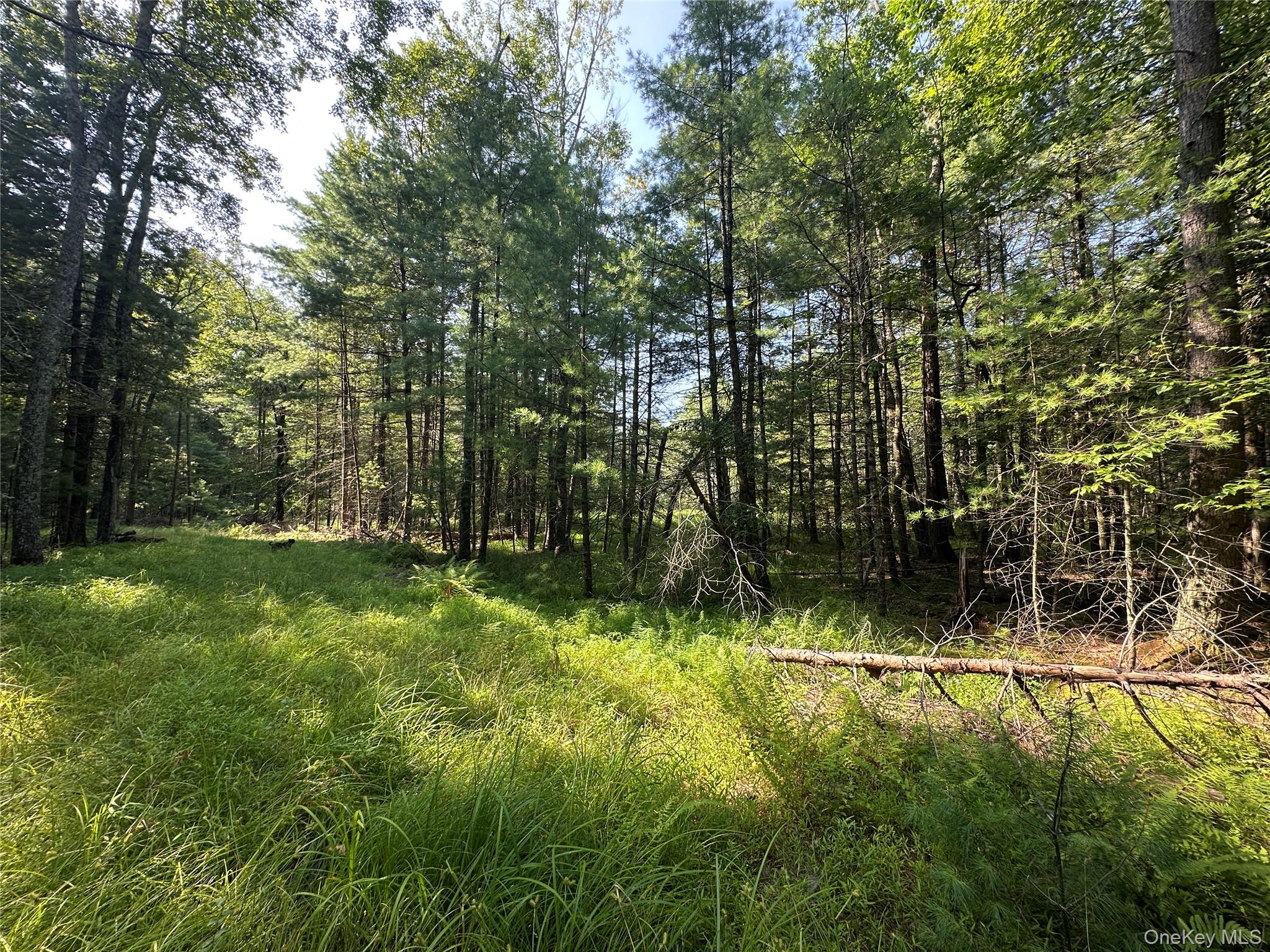 Lot 46 Summit Drive, Barryville, NY 12719