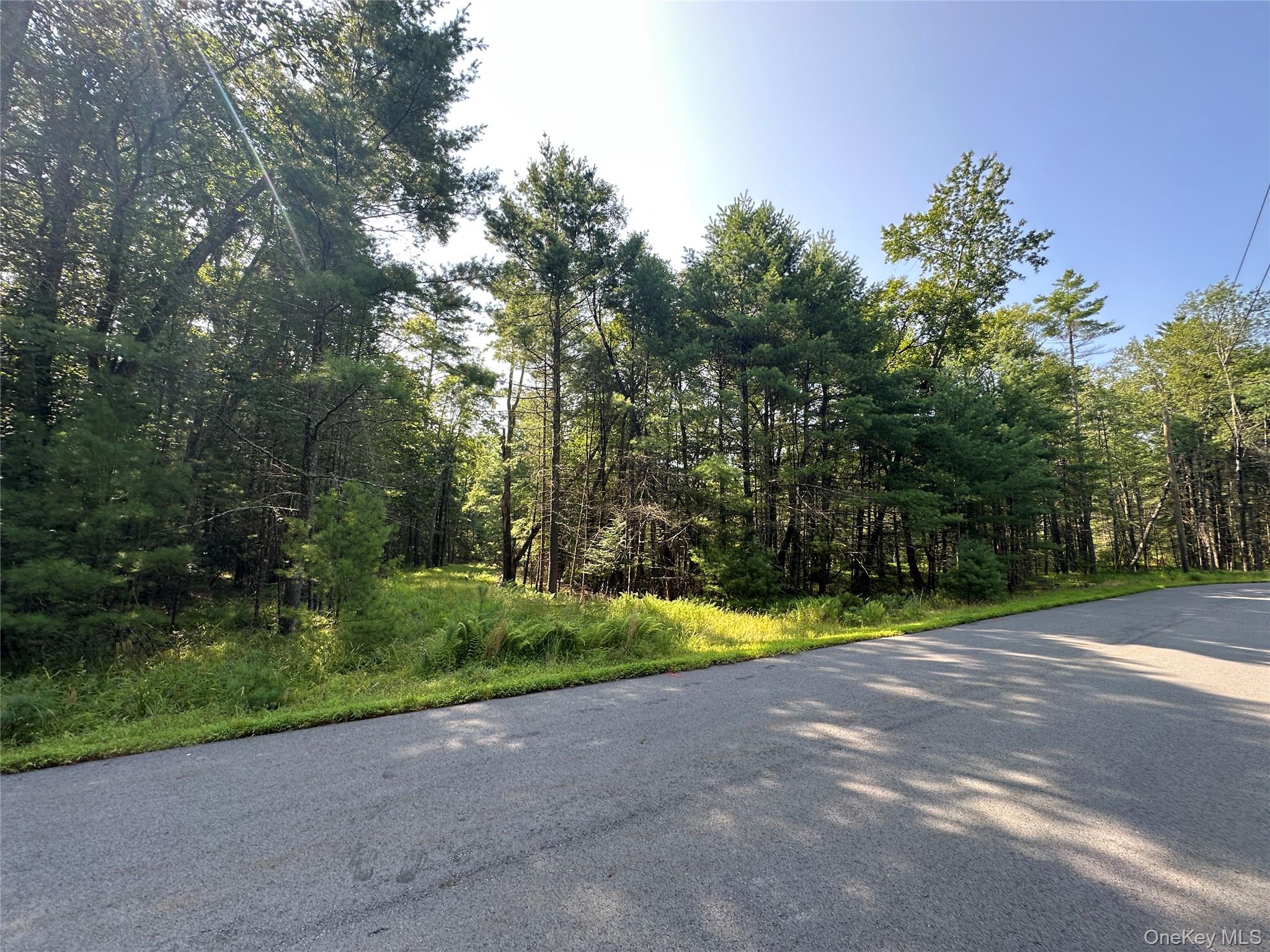 Lot 46 Summit Drive, Barryville, NY 12719