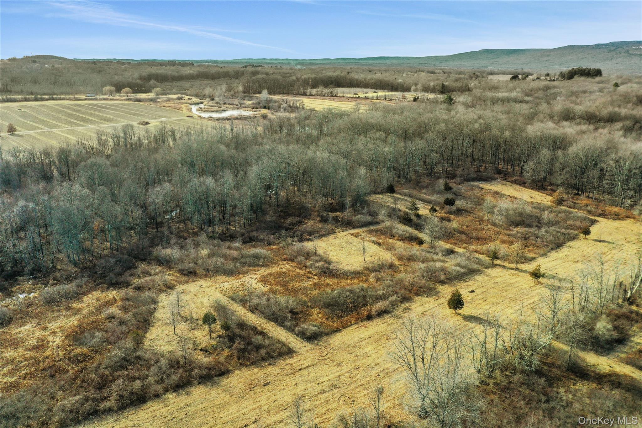 3 Scenic Meadow Drive, Gardiner, NY 12525