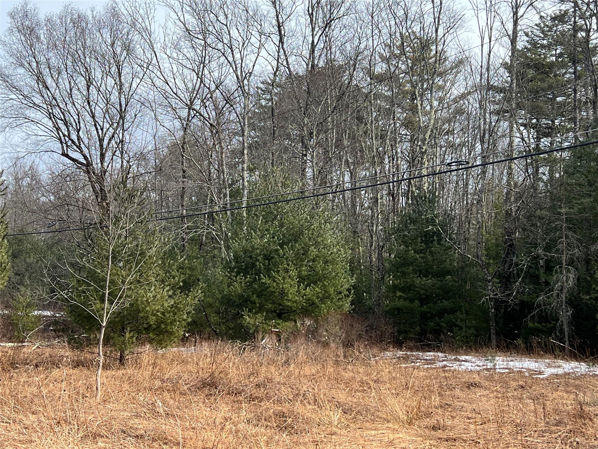 Martinfeld Road, Greenfield Park, NY 12435